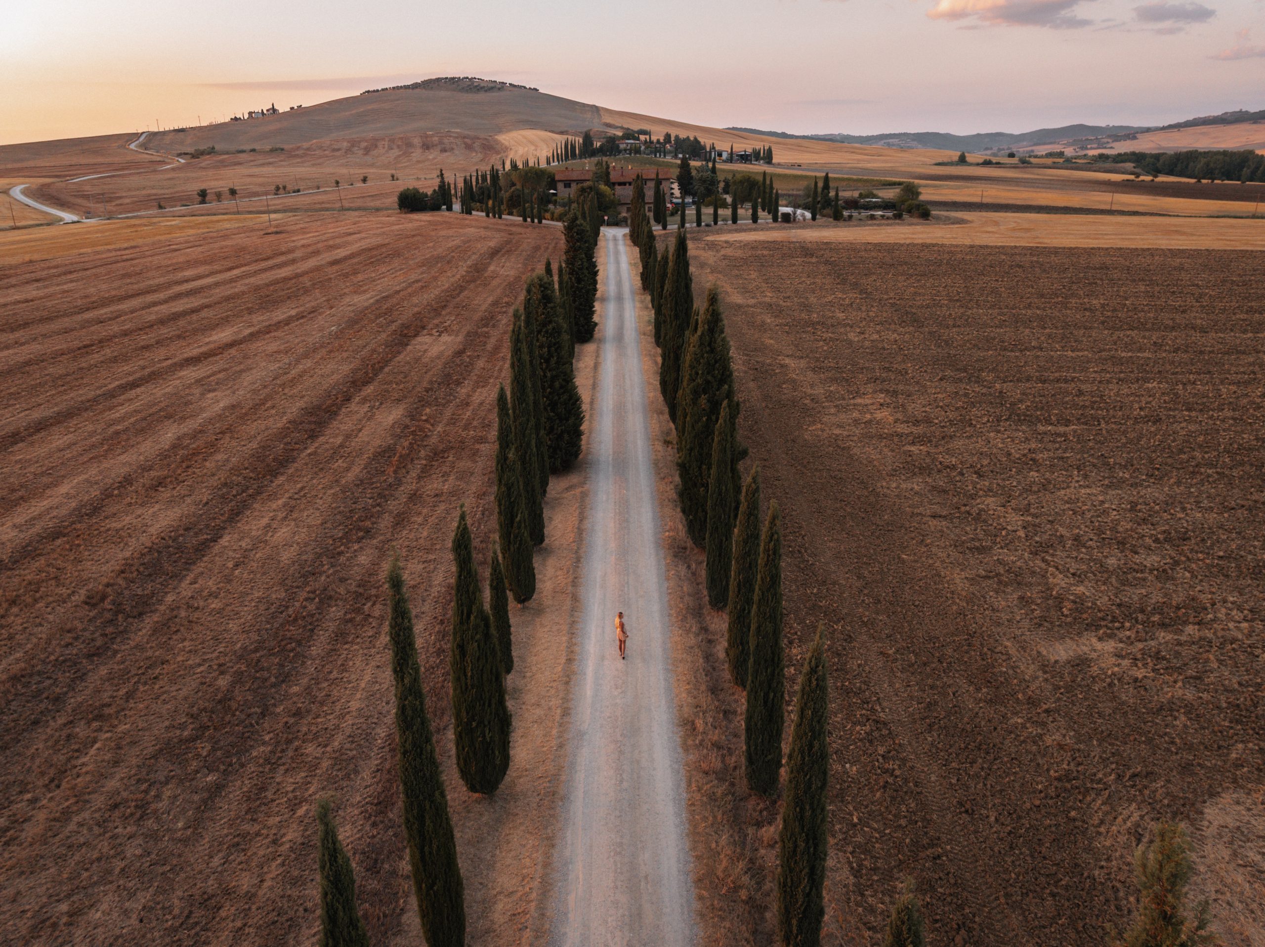 Aerial shot of cypress trees during sunset in Tuscany.