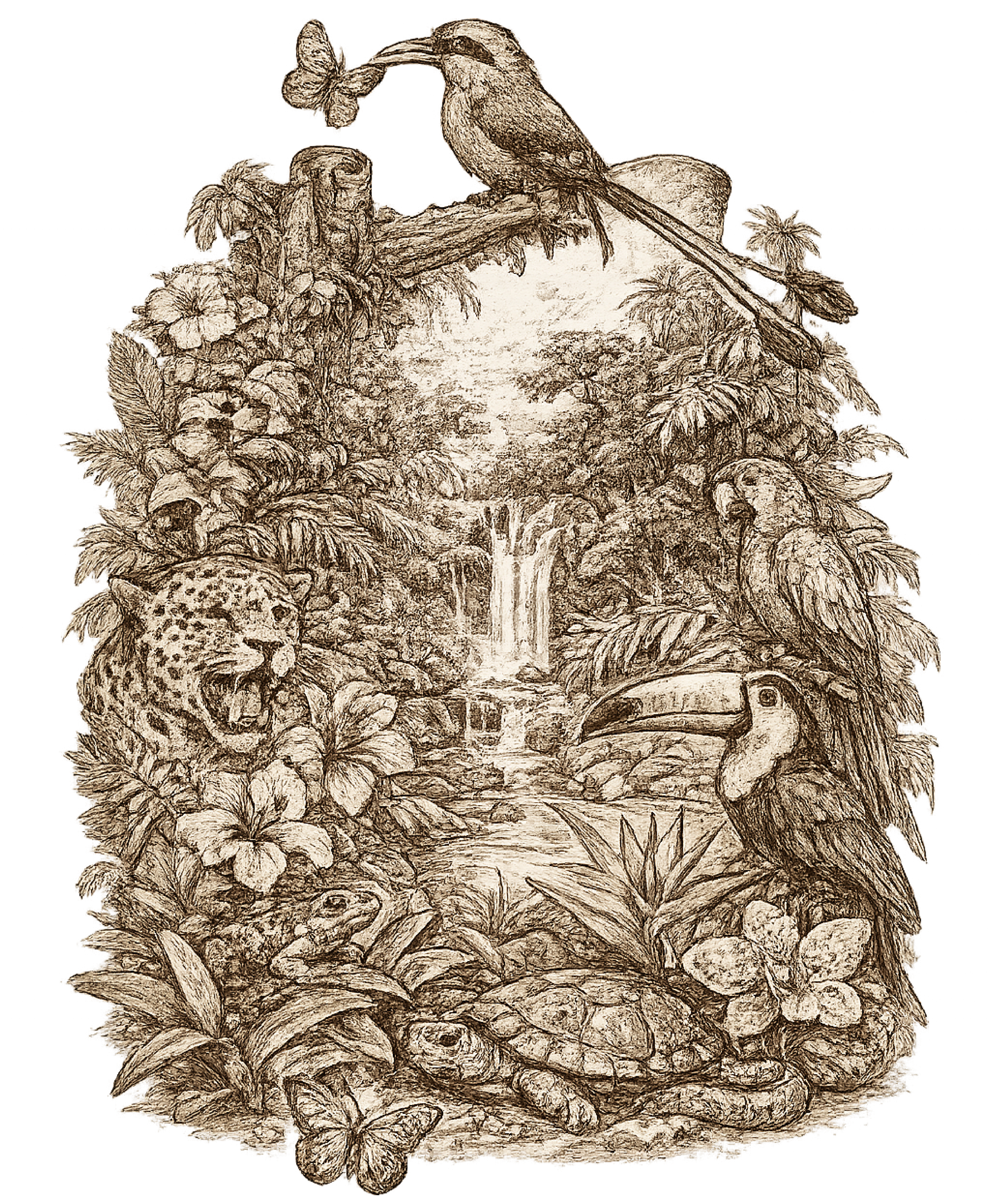 5% of World’s Biodiversity in Costa Rica