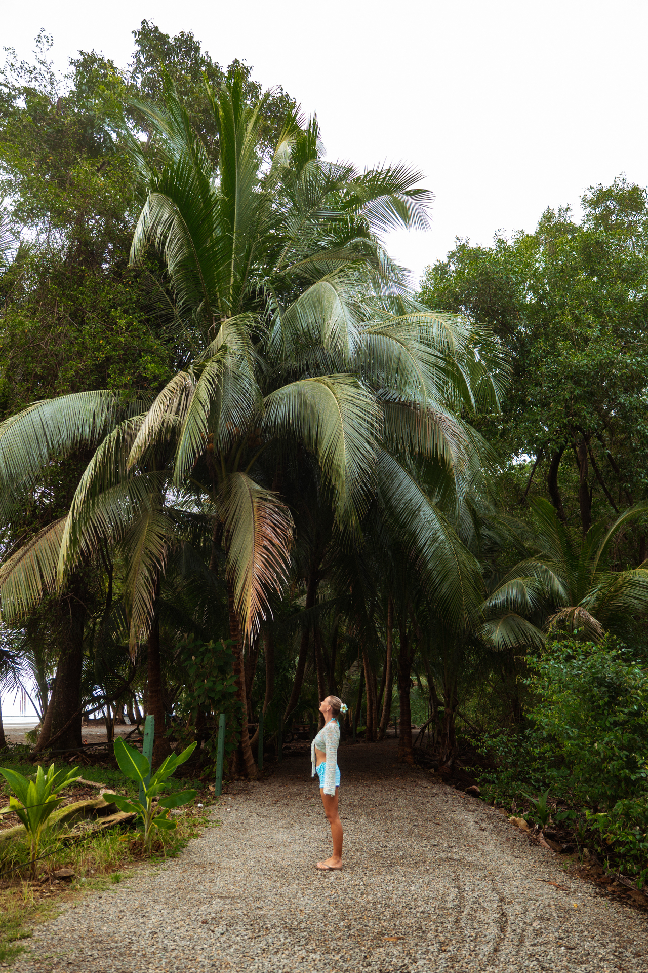 Woman standing under palm trees at Uvita Beach in Costa Rica.