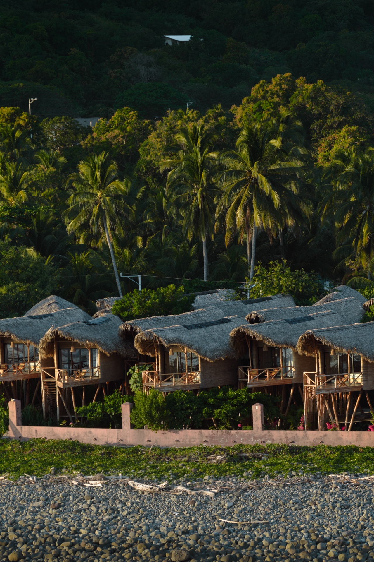 Beachfront Nawi bungalows surrounded by palm trees in El Zonte, El Salvador