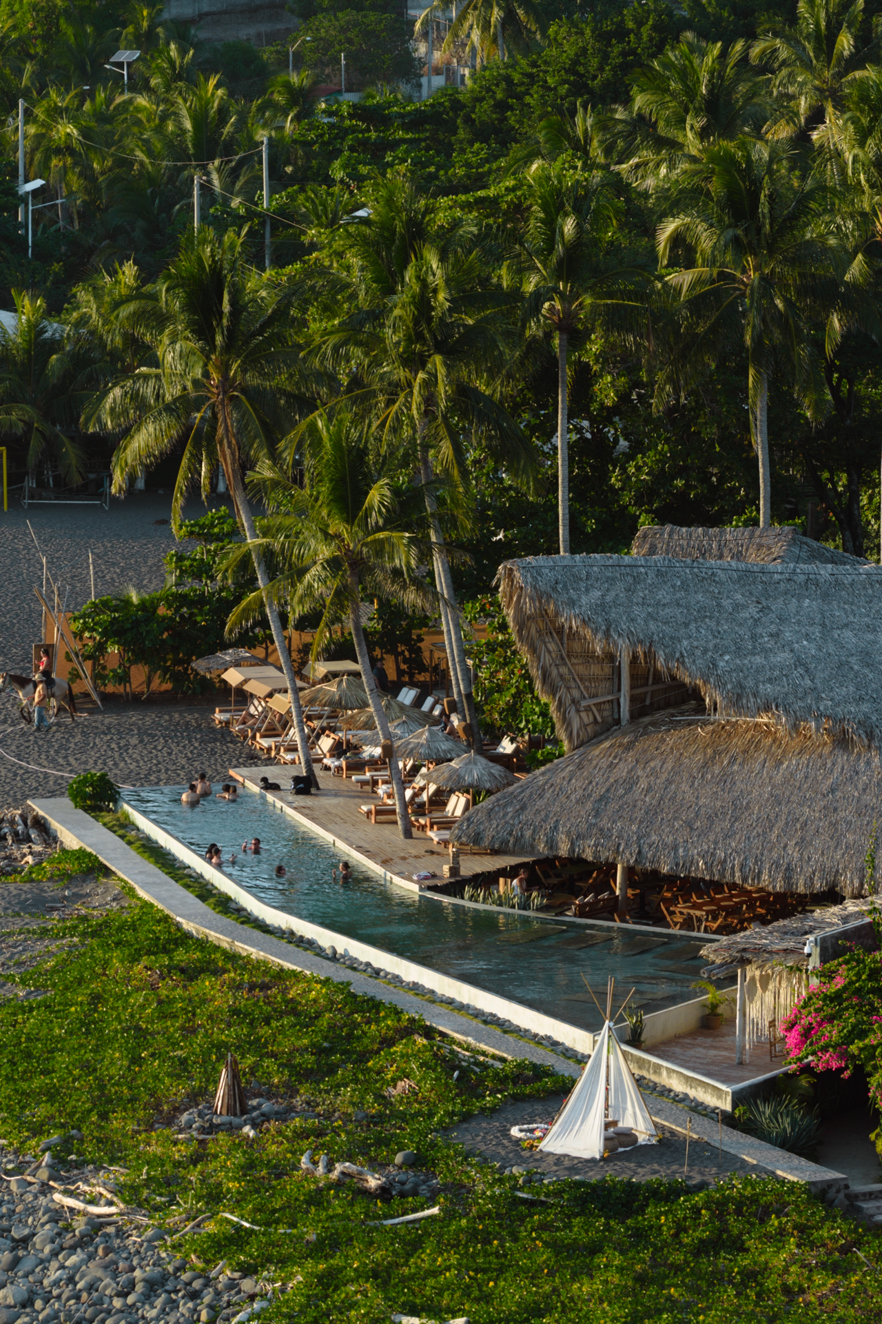 Nawi beachfront pool and palm-lined bungalows in El Zonte, El Salvador