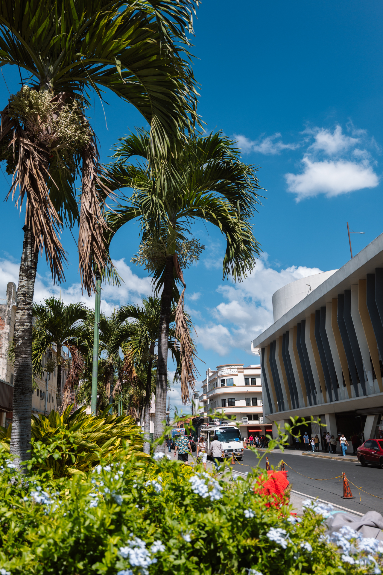 Palm-lined street with modern architecture in San Salvador, El Salvador