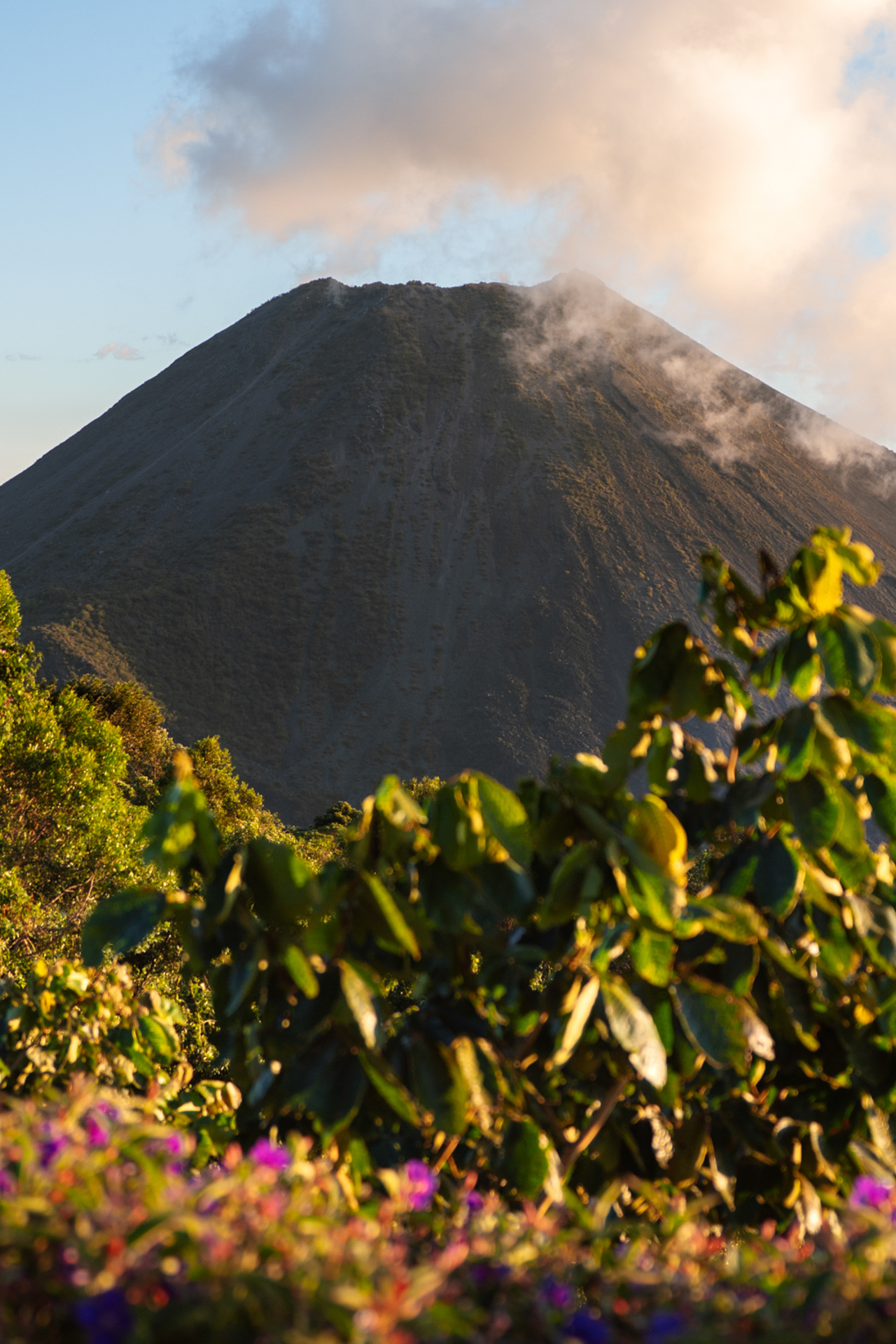 Santa Ana Volcano rising above lush greenery in El Salvador