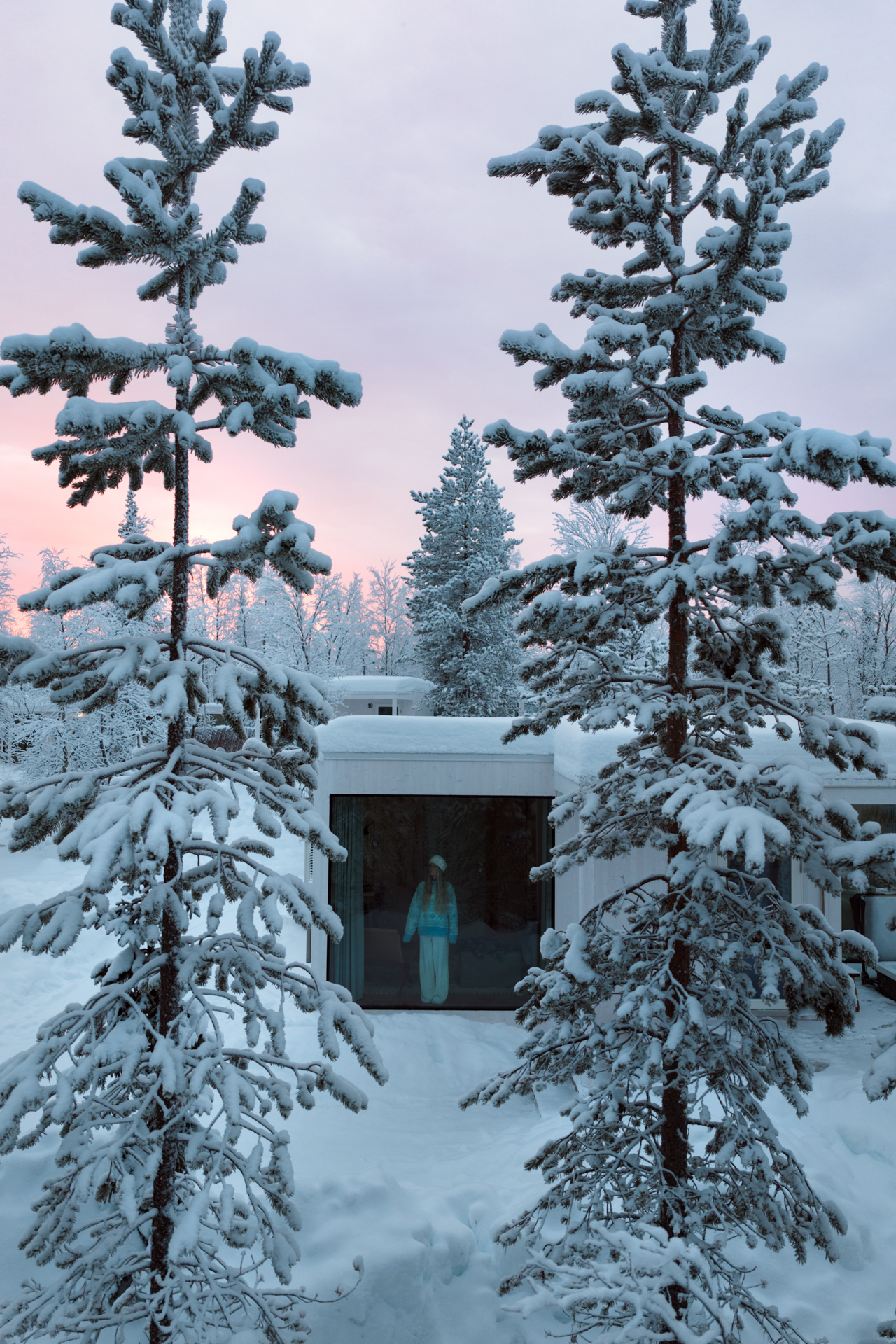 Levi Snow-covered trees framing modern glass cabin in Levi, Finland at winter sunset