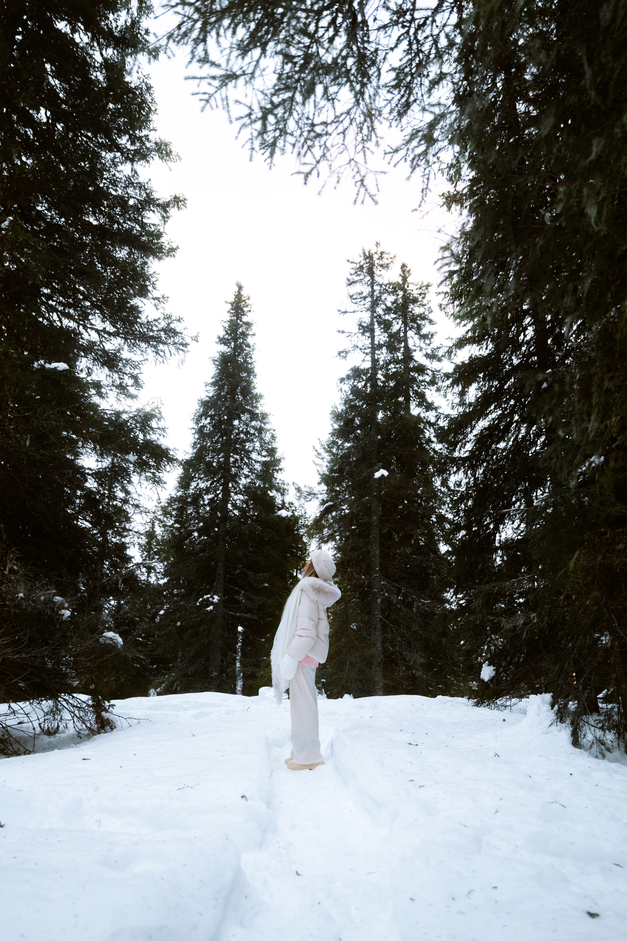 Riisitunturi Woman standing in snowy forest at Riisitunturi National Park, Finland surrounded by tall pine trees