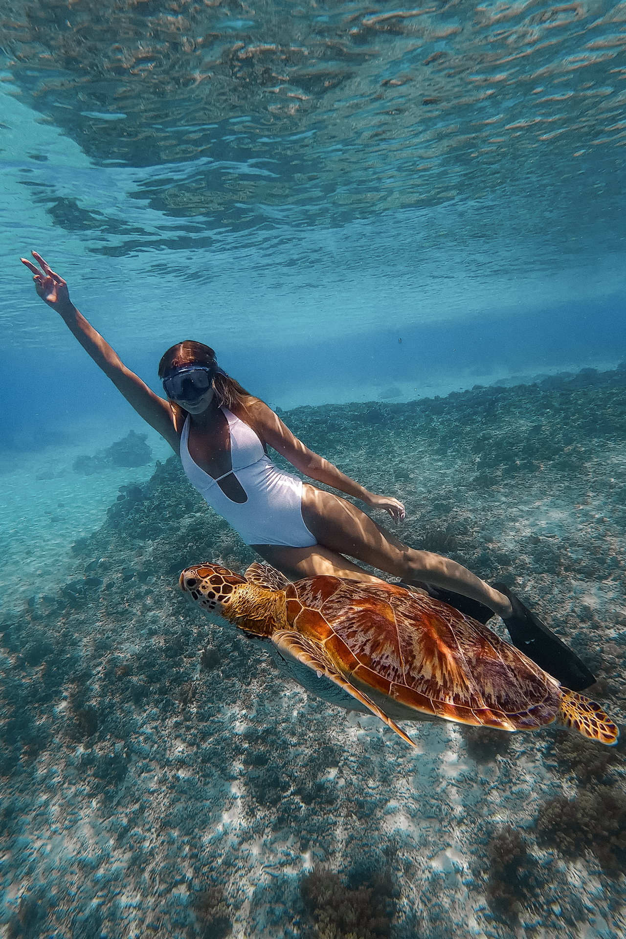 Snorkeling with sea turtle in Gili Trawangan, Lombok