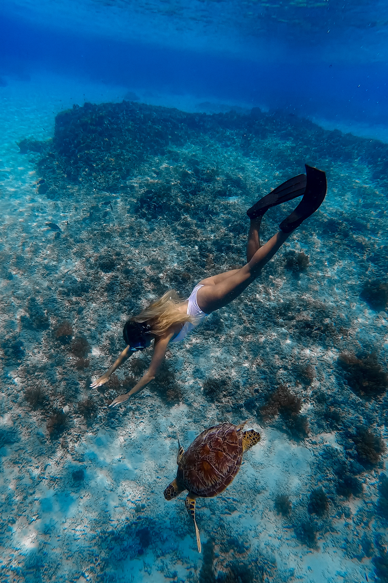 Snorkeling with a turtle on Gili Trawangan