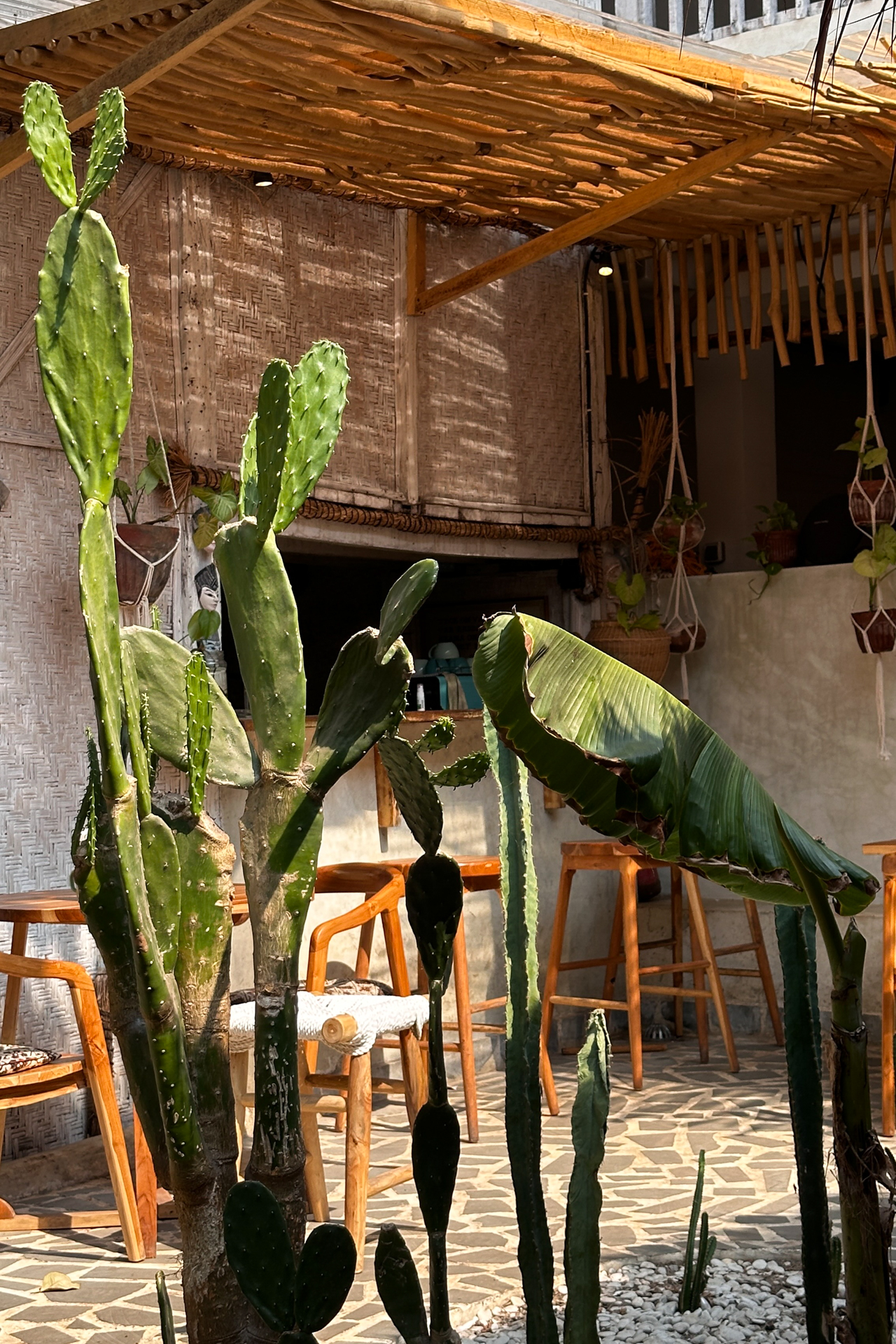 Tropical café interior in Gili Air with cacti and bamboo design