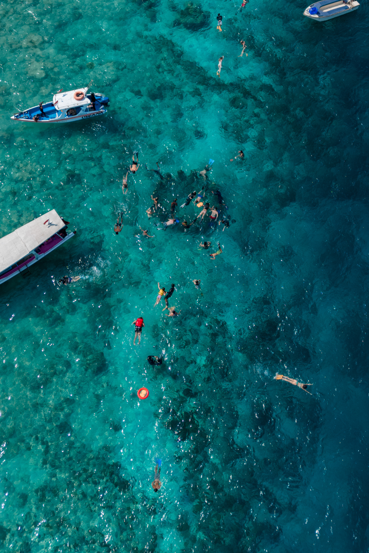 Snorkeling crowd above turquoise reef near Gili Islands, Lombok