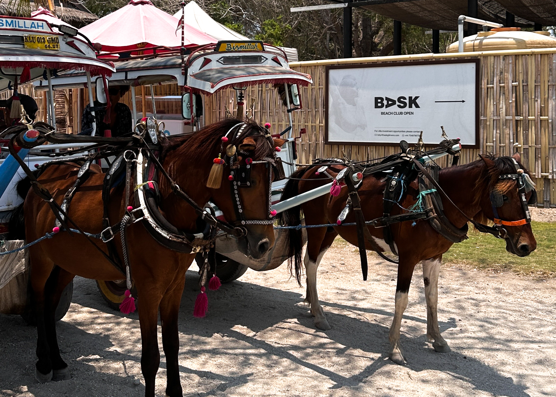 Horse-drawn carts on Gili Islands