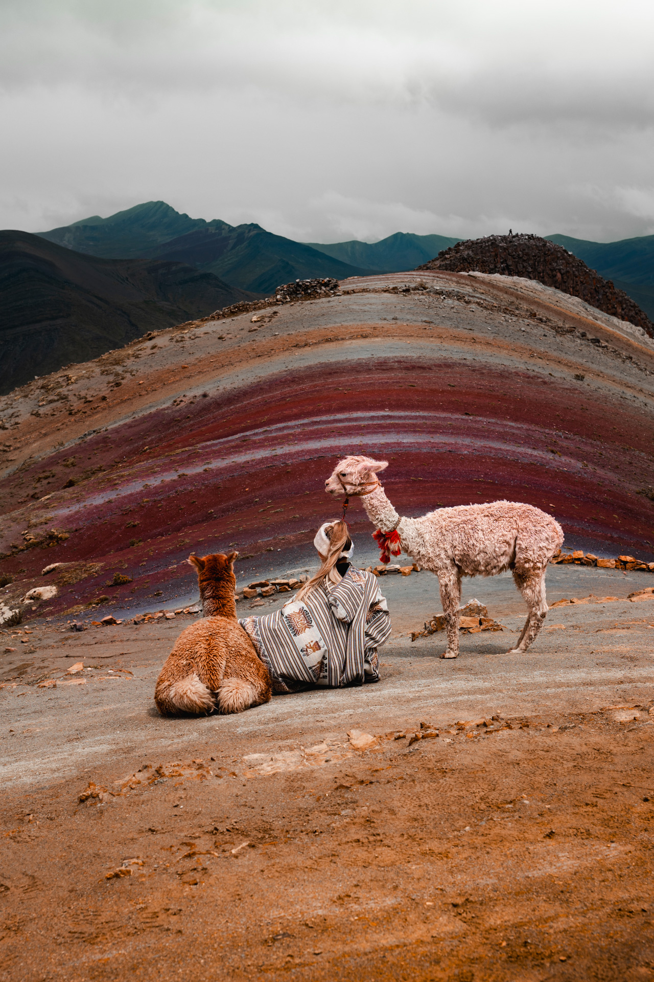 Traveler sitting with alpacas on Rainbow Mountain in Peru under a cloudy sky