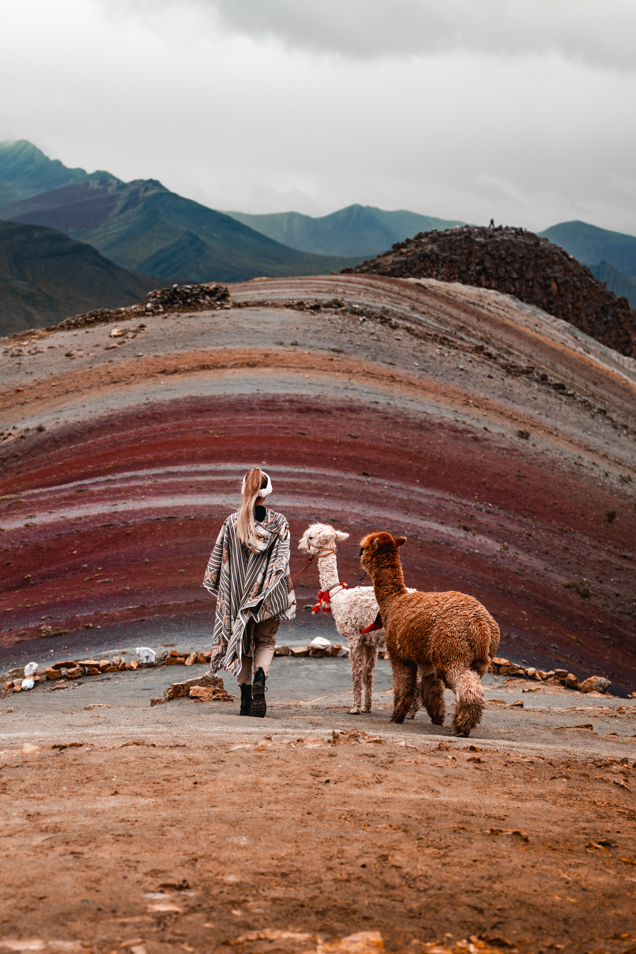 Rainbow Mountain Rainbow Mountain in Peru with Alpacas