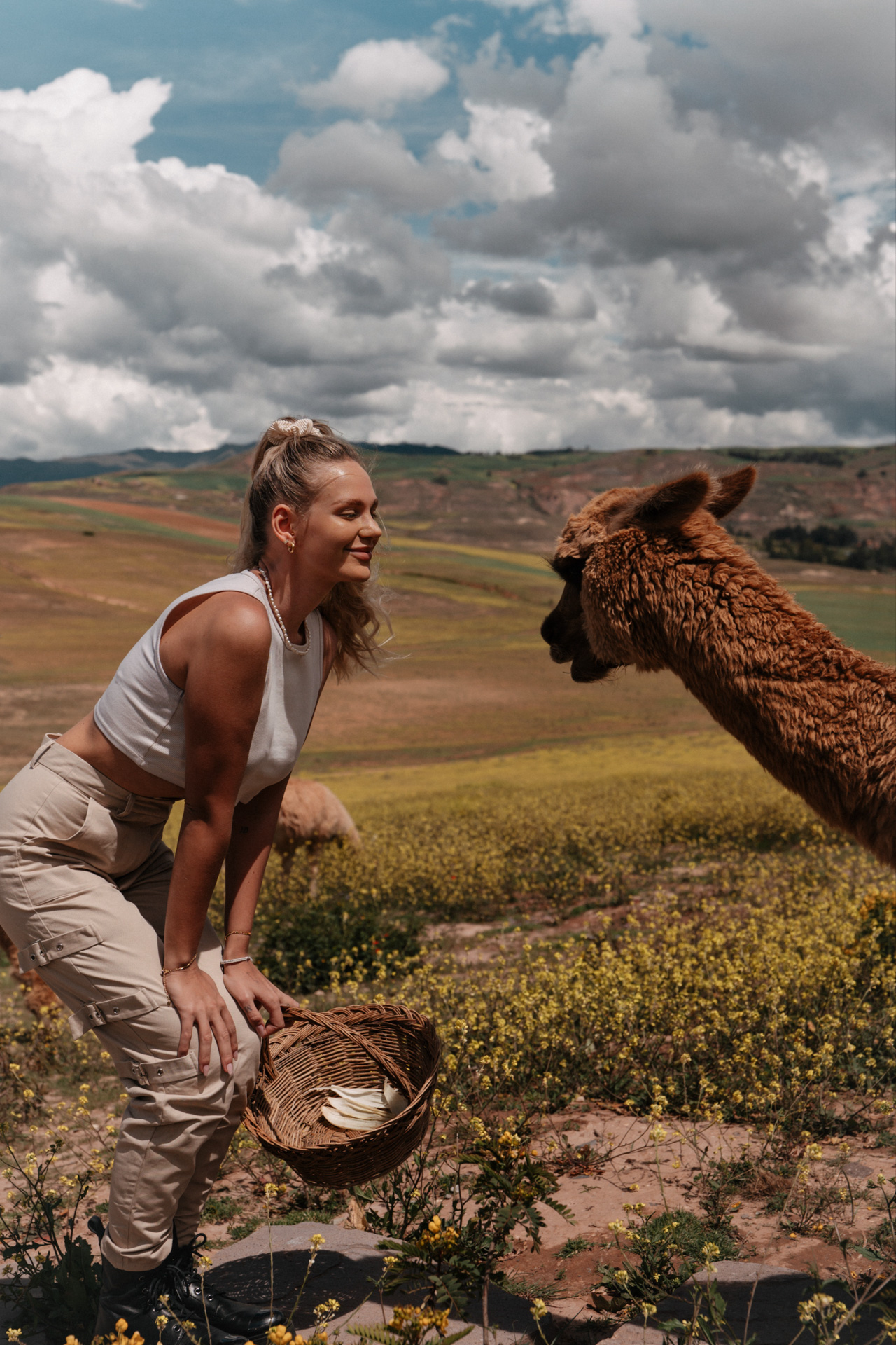 Woman interacting with an alpaca in the Peruvian countryside under dramatic clouds