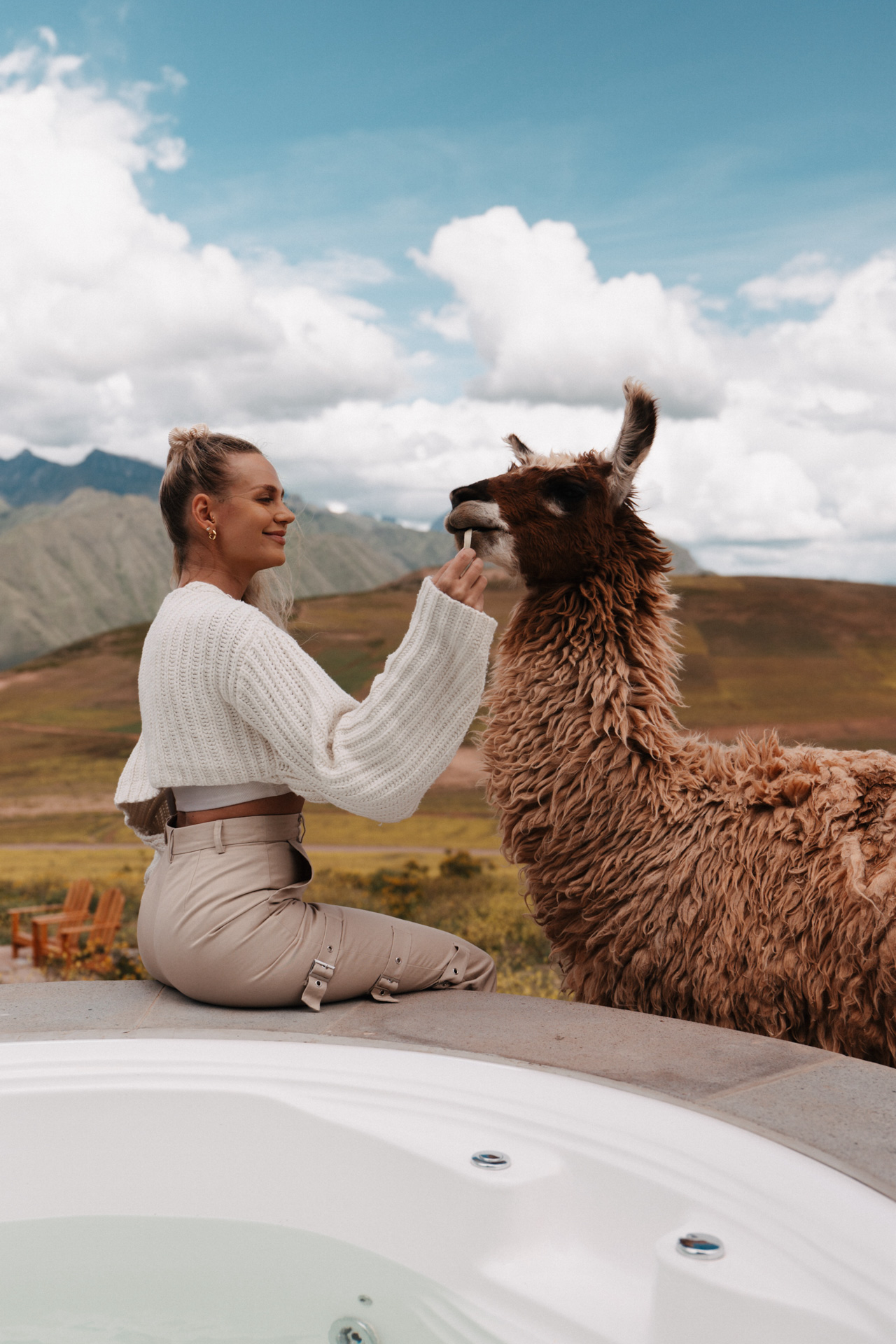 Girl feeding an Alpaca in the sacred valley in Peru