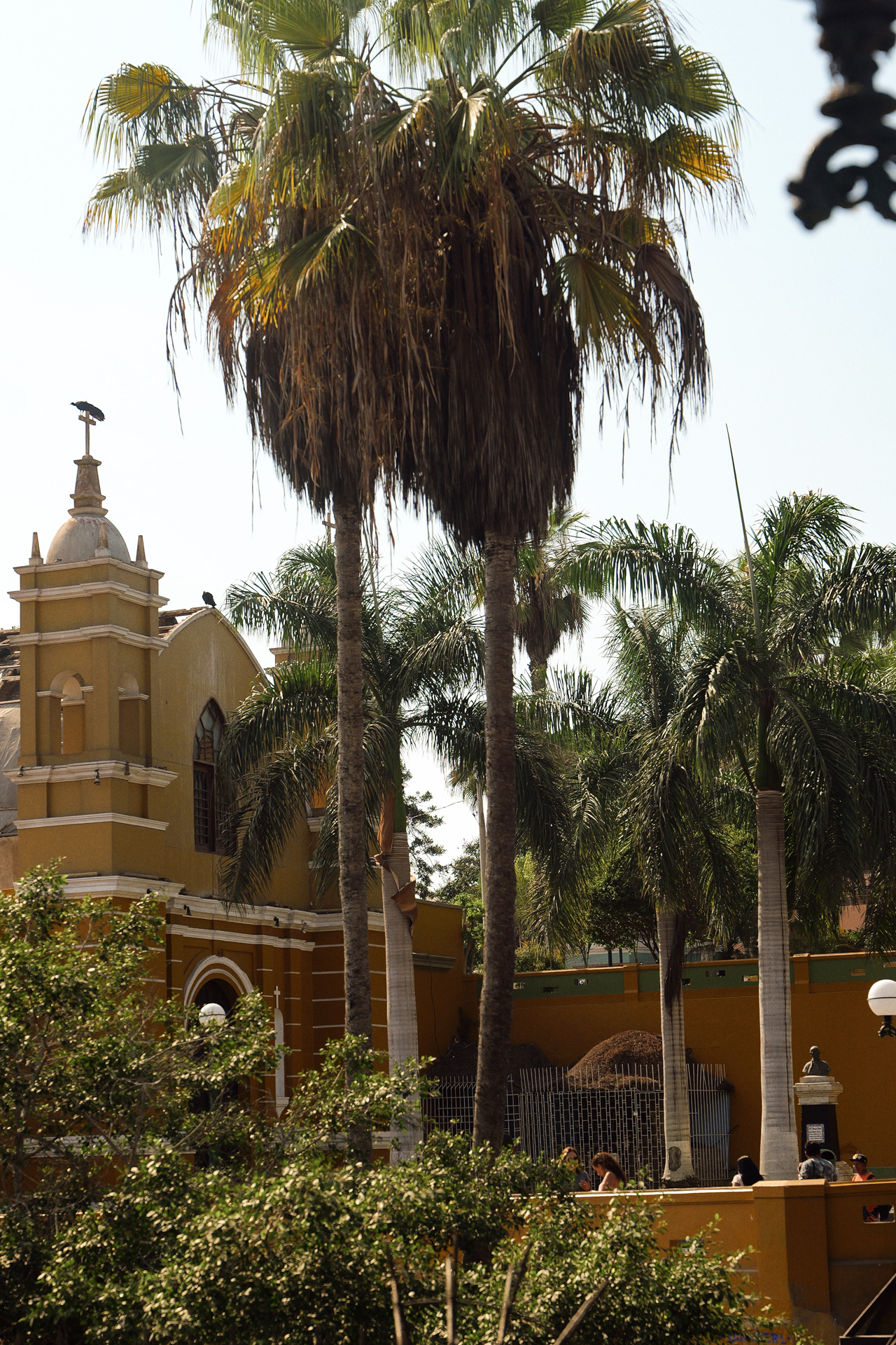 Palm trees and colonial church architecture in Barranco, Lima, Peru
