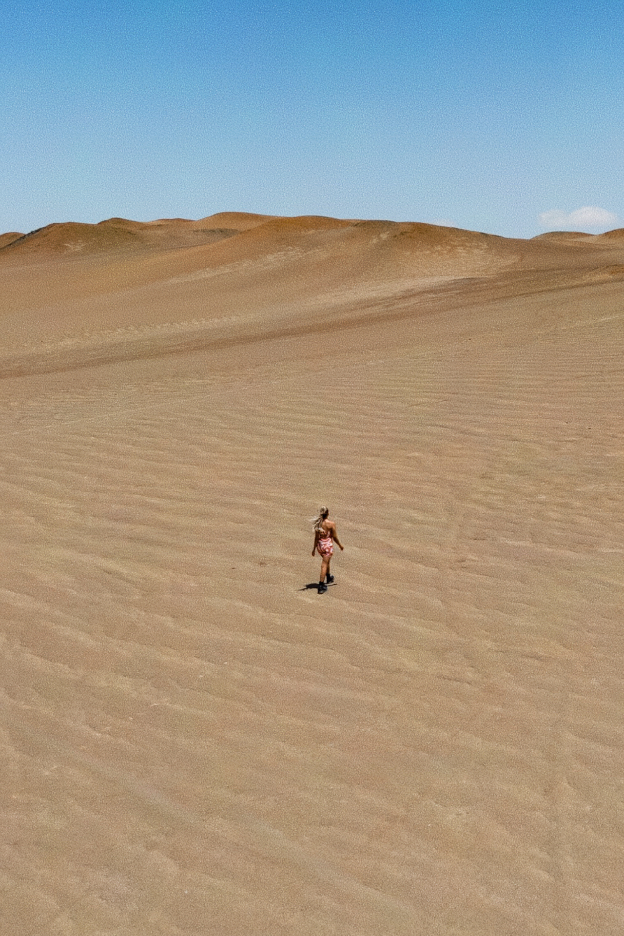 Bolivia Travel Guide Paracas National Reserve