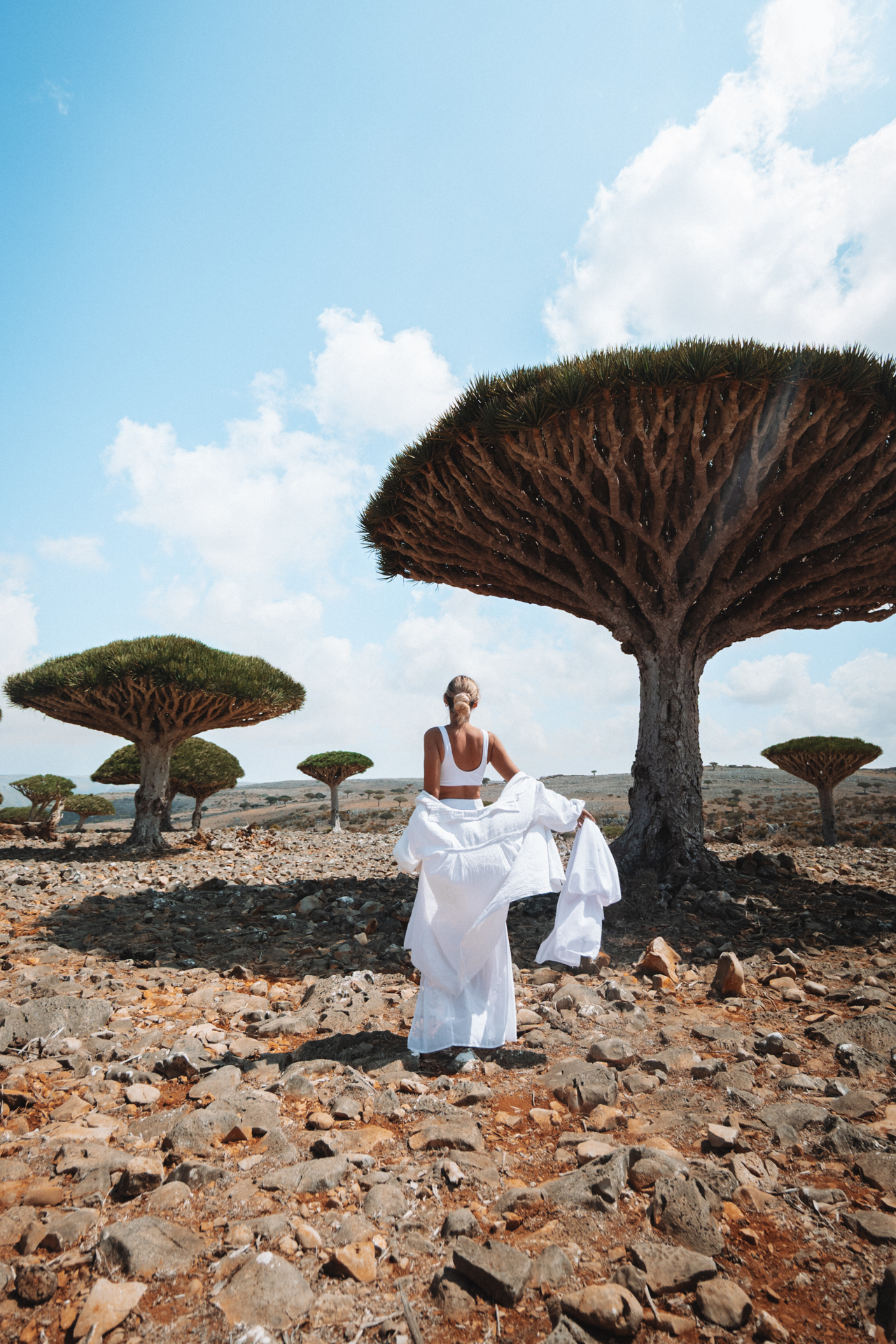 A woman standing among the ancient Dragon Blood Trees in the rugged landscape of Socotra Island.