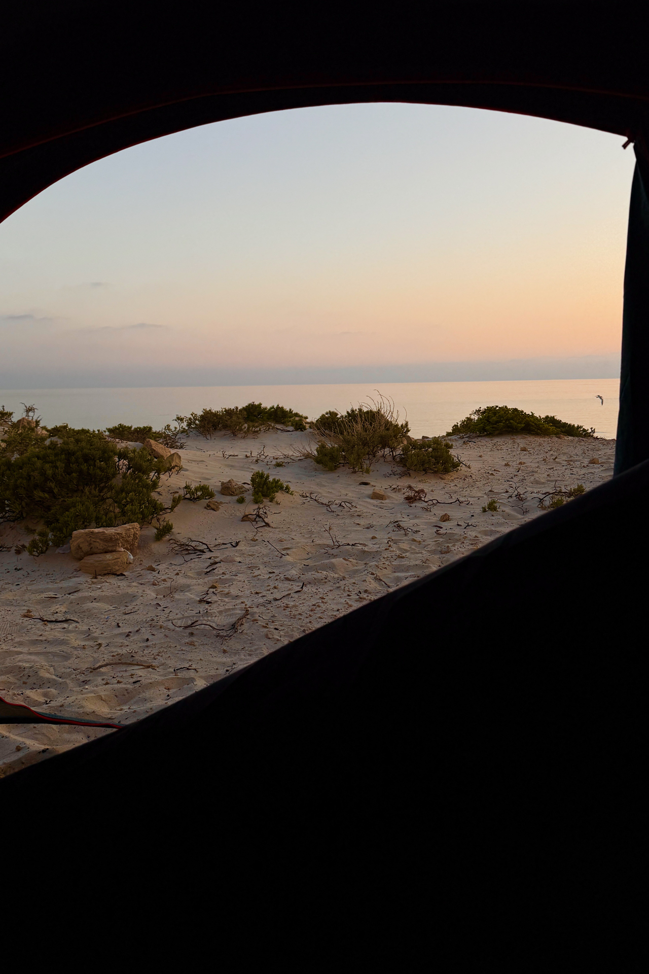 Basecamp at Arher Sand Dunes on Socotra Island in Yemen