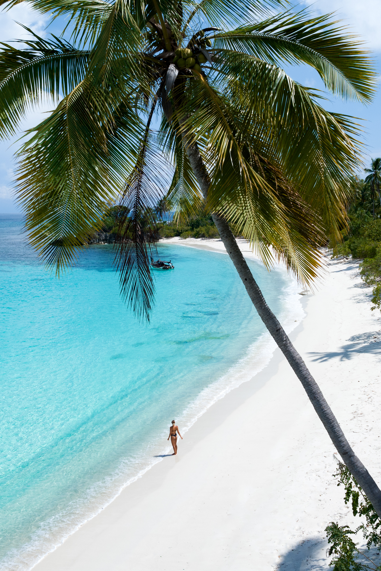 Banggai Islands white sand beach with turquoise water and palm trees at Banggai Laut