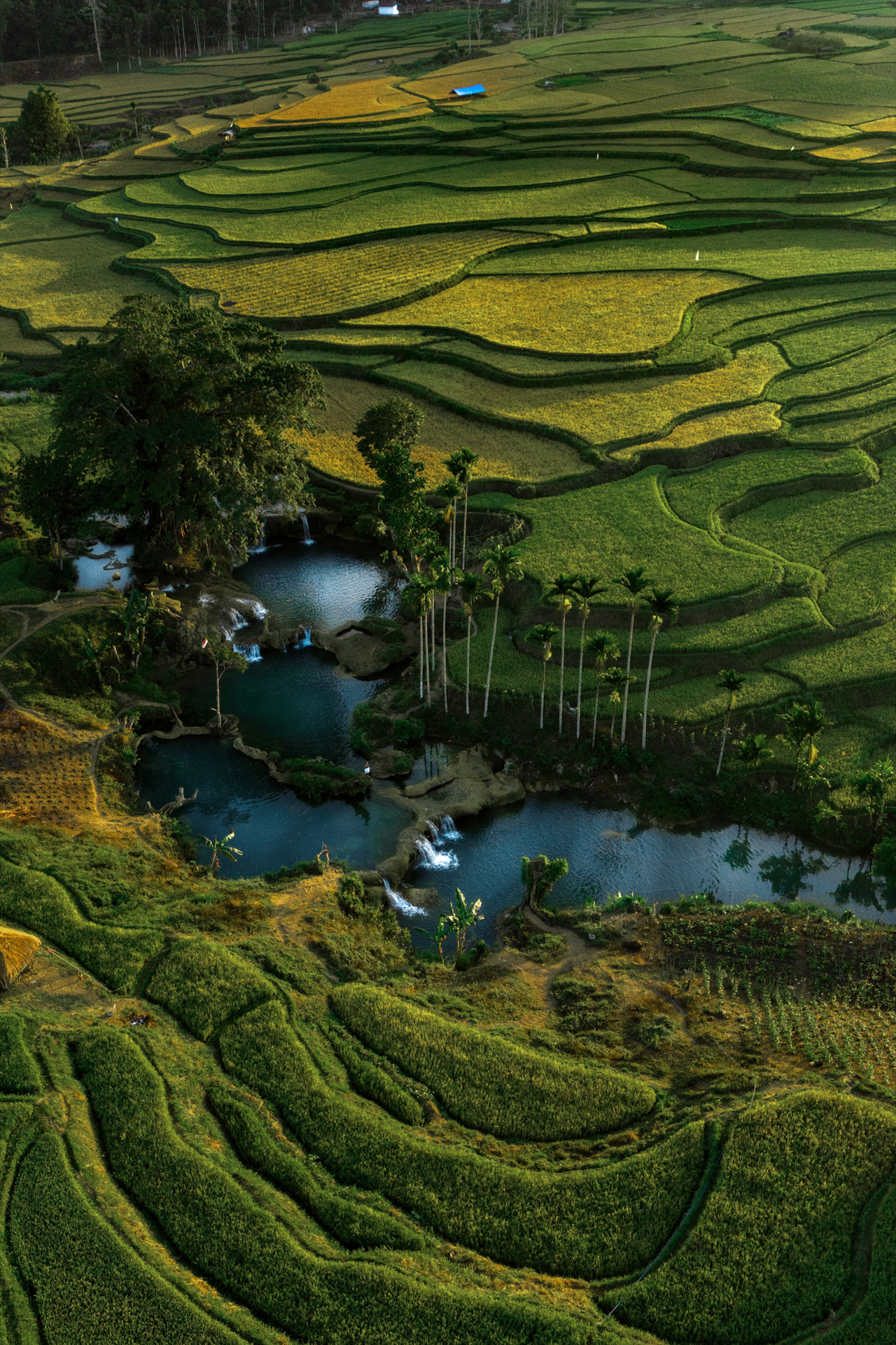 Aerial view of Wee Kacura waterfall and surrounding landscape, Sumba