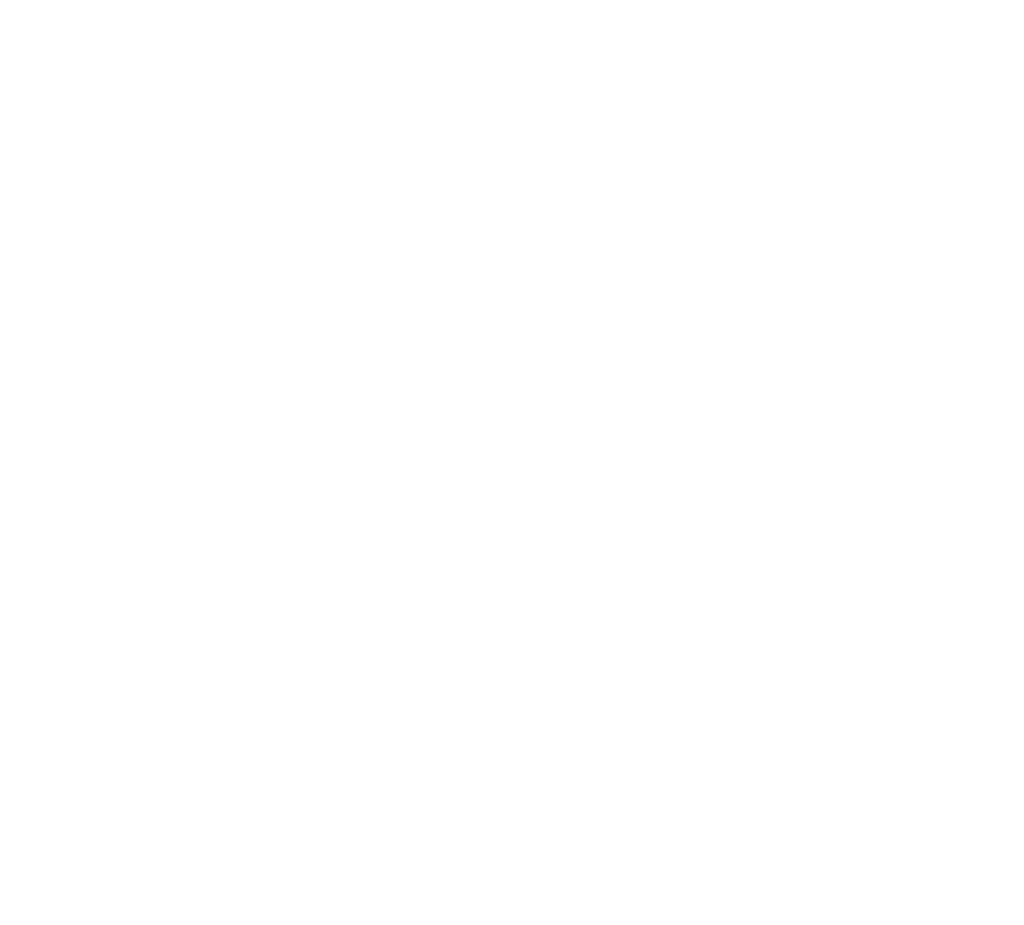 Socotra Travel Guide