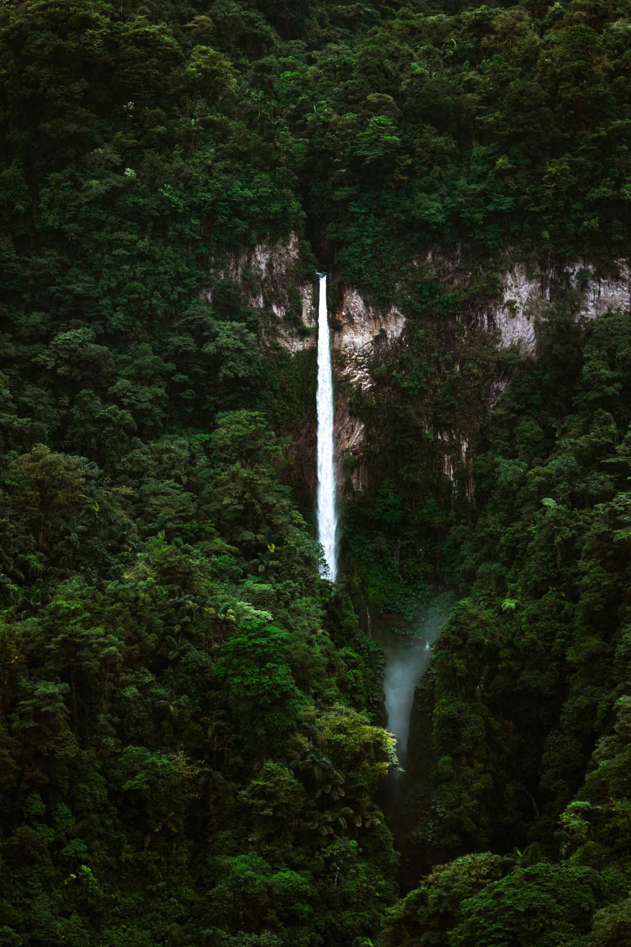 Waterfall surrounded by dense rainforest in Bajos del Toro Costa Rica