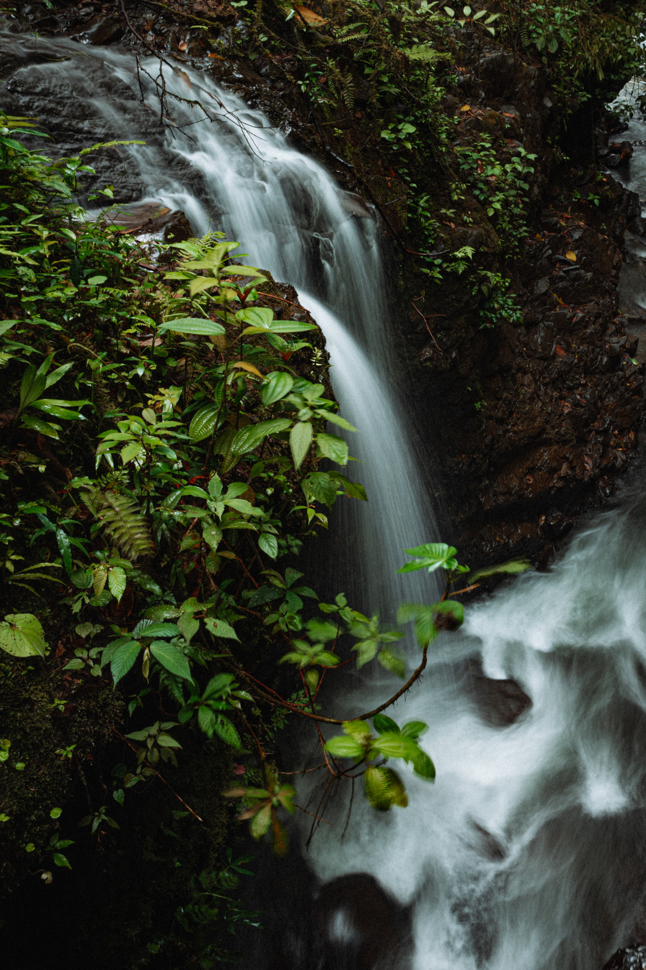Small waterfall flowing through lush rainforest at El Tigre Waterfalls in La Fortuna Costa Rica