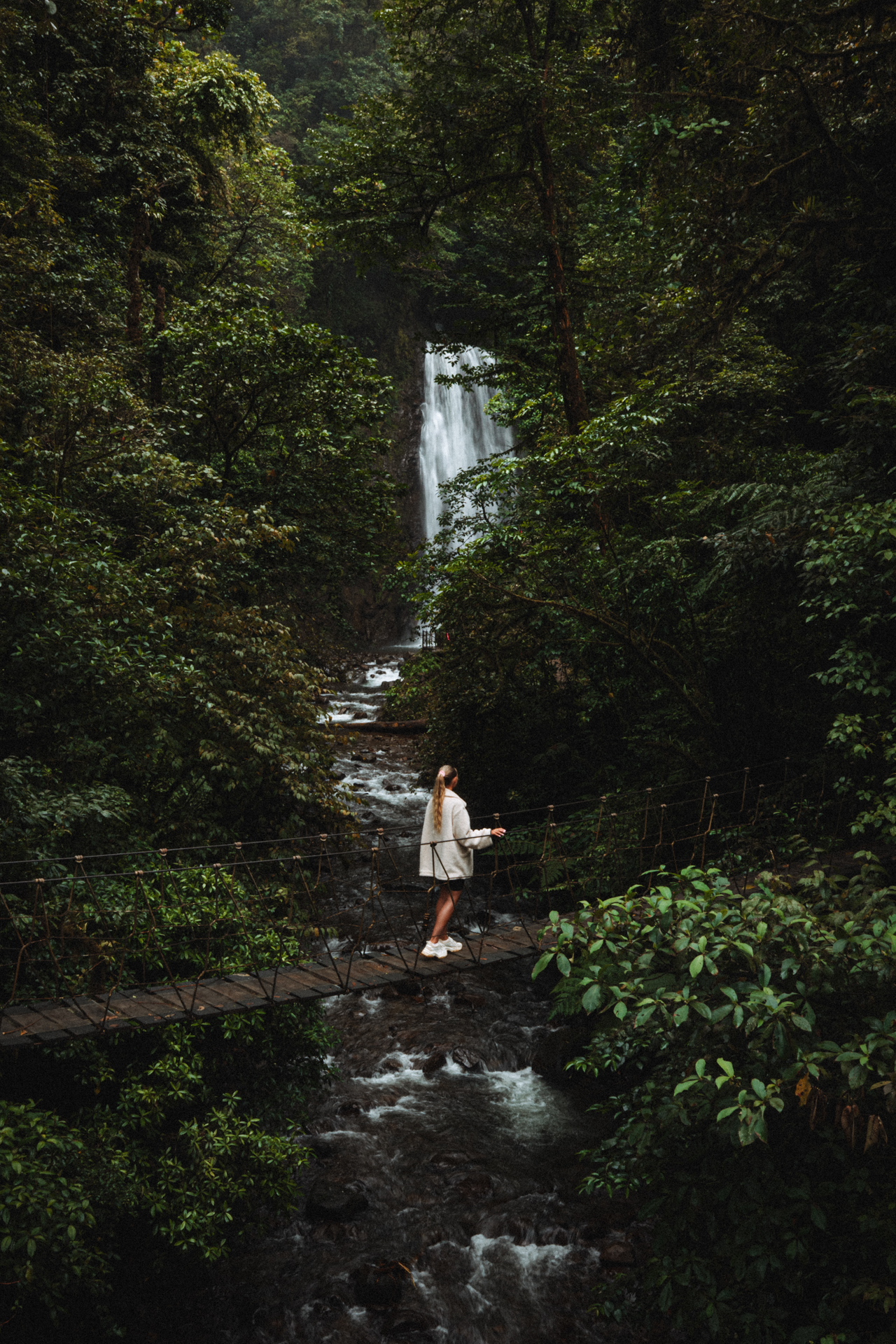 9 Best Things to do in Monteverde