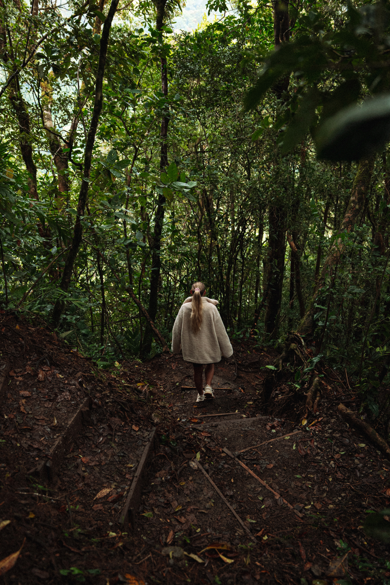 Person walking down a forest trail in Monteverde Costa Rica