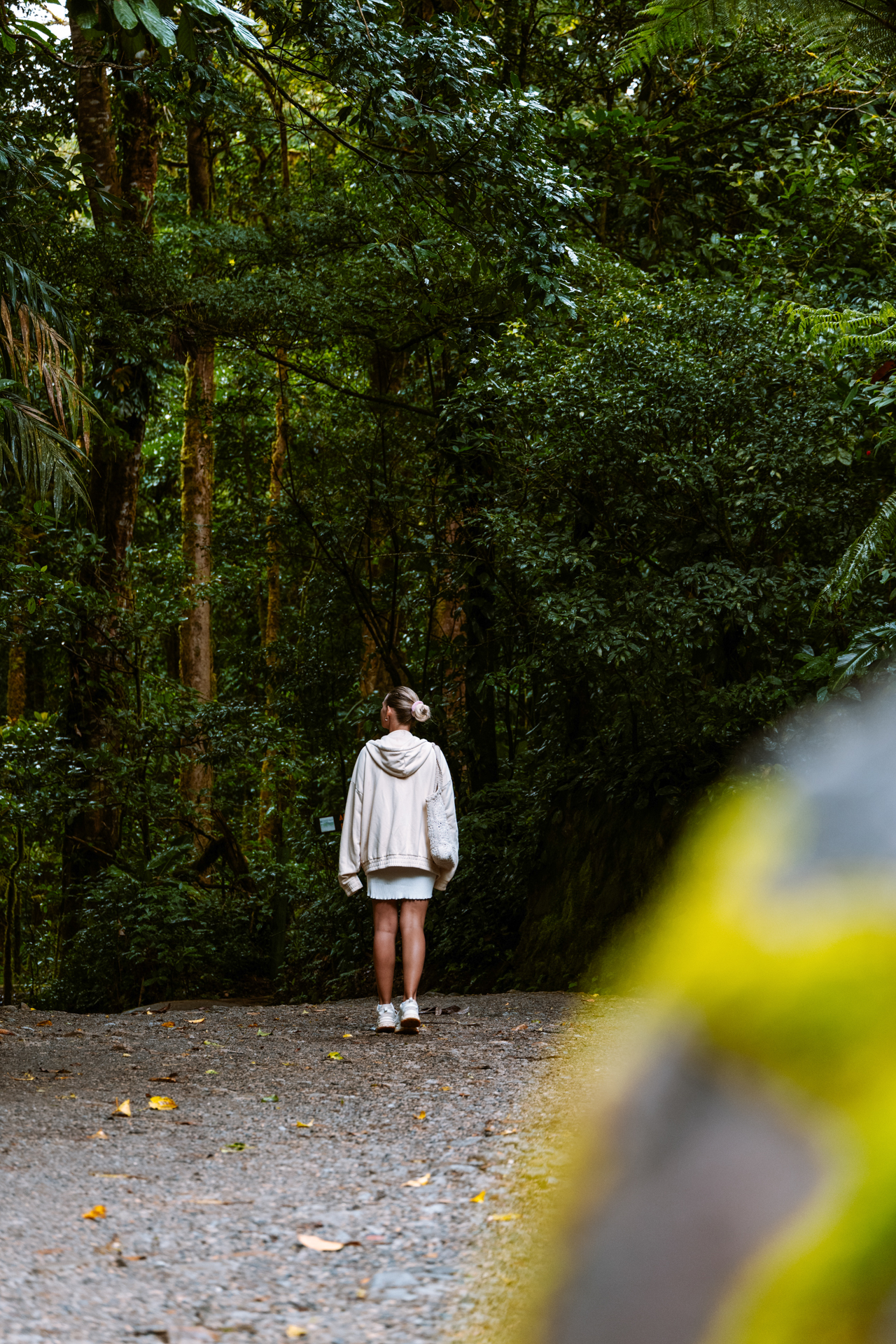 Woman walking through cloud forest in Monteverde Costa Rica