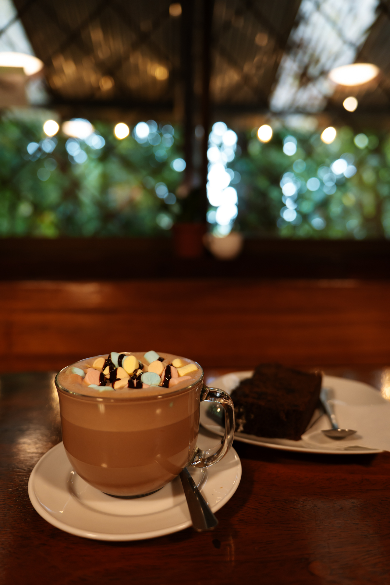 The Colibri Cafe in Monteverde, Costa Rica
