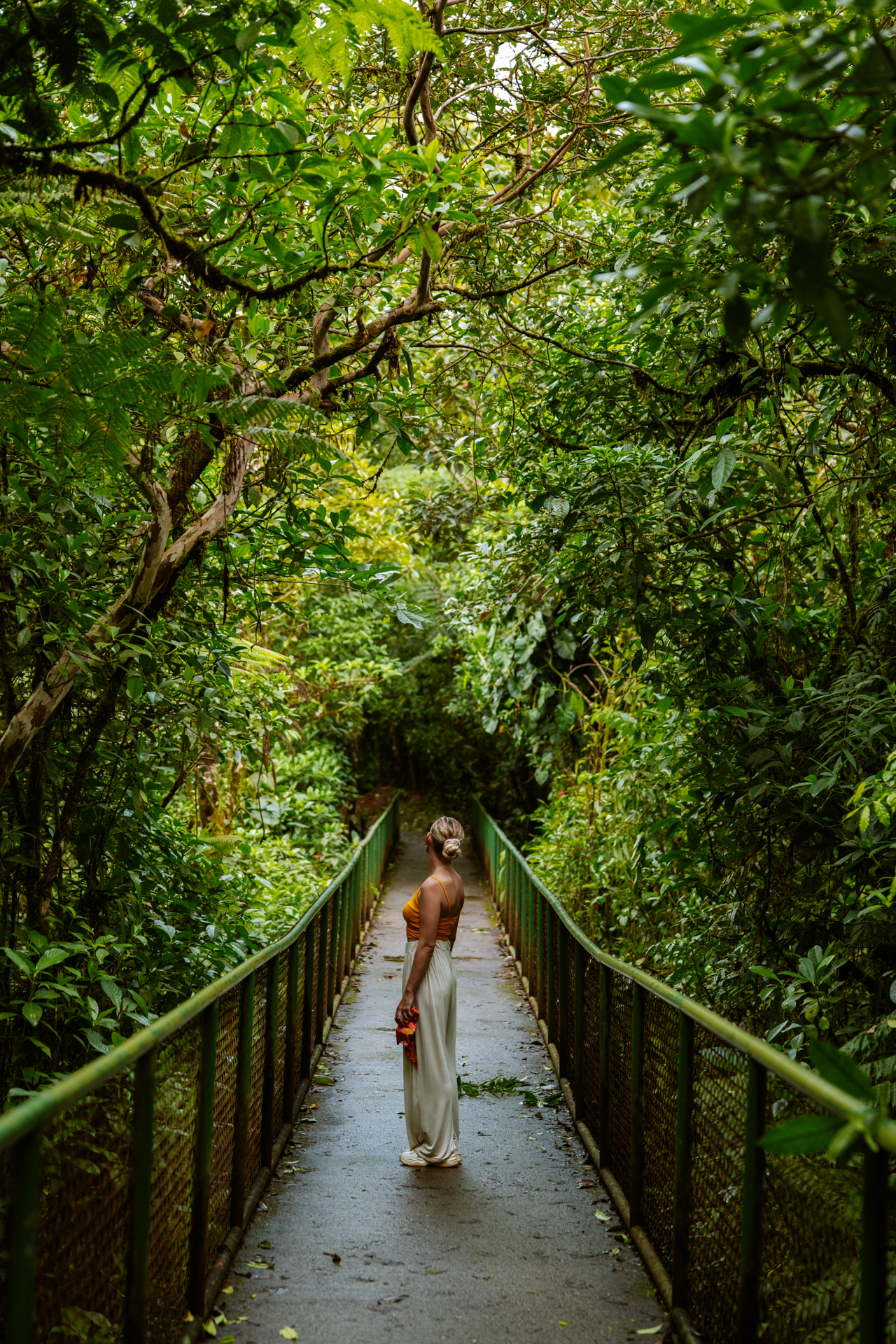 Woman standing on a jungle bridge in Tenorio Volcano National Park near Río Celeste, Costa Rica