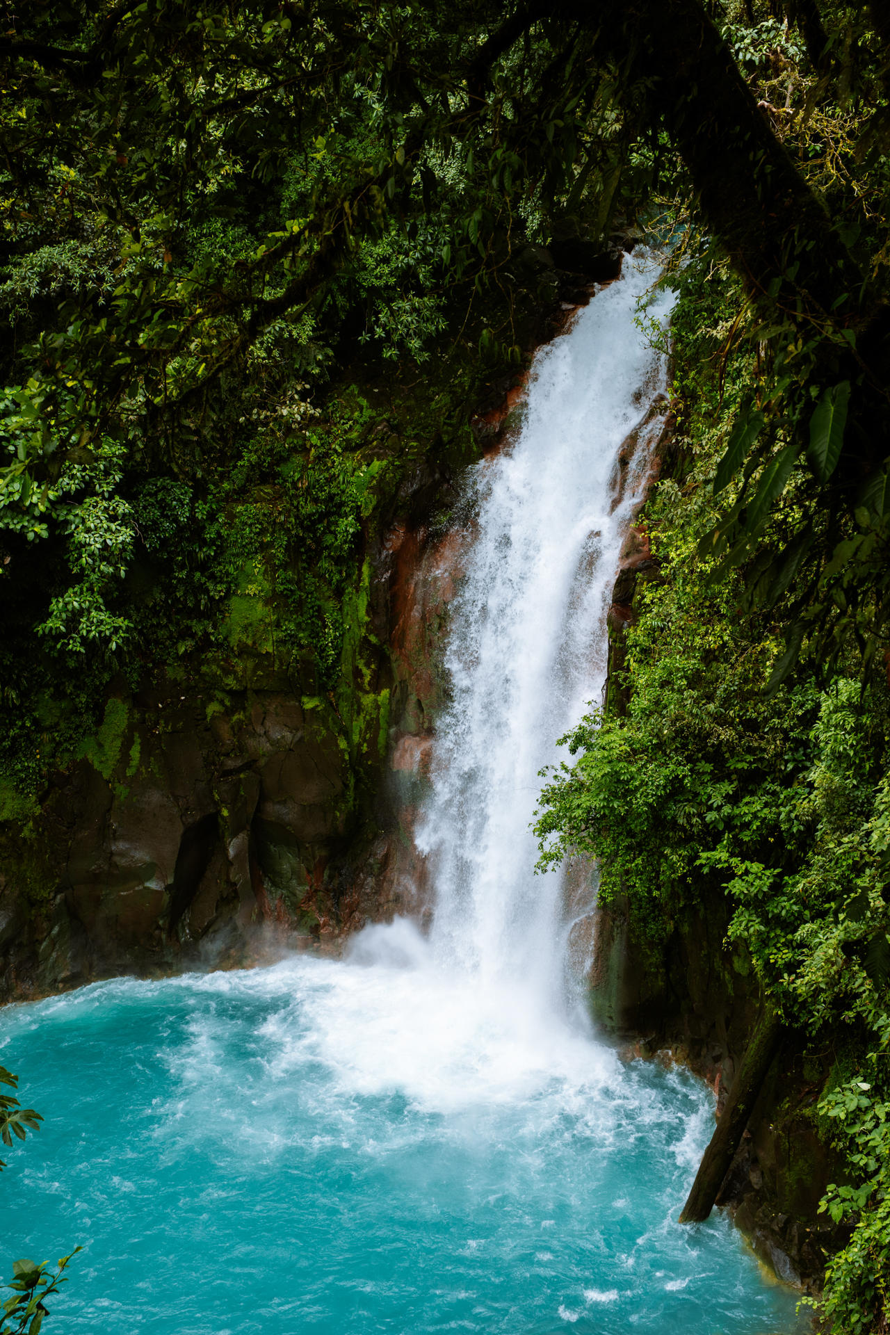 Río Celeste waterfall with bright blue water surrounded by rainforest in Costa Rica