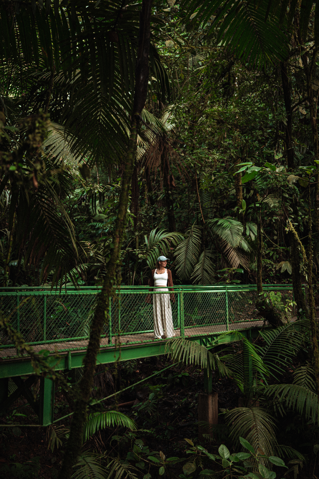 Woman looking out over dense tropical rainforest along a trail in Mistico Hanging Bridges, La Fortuna