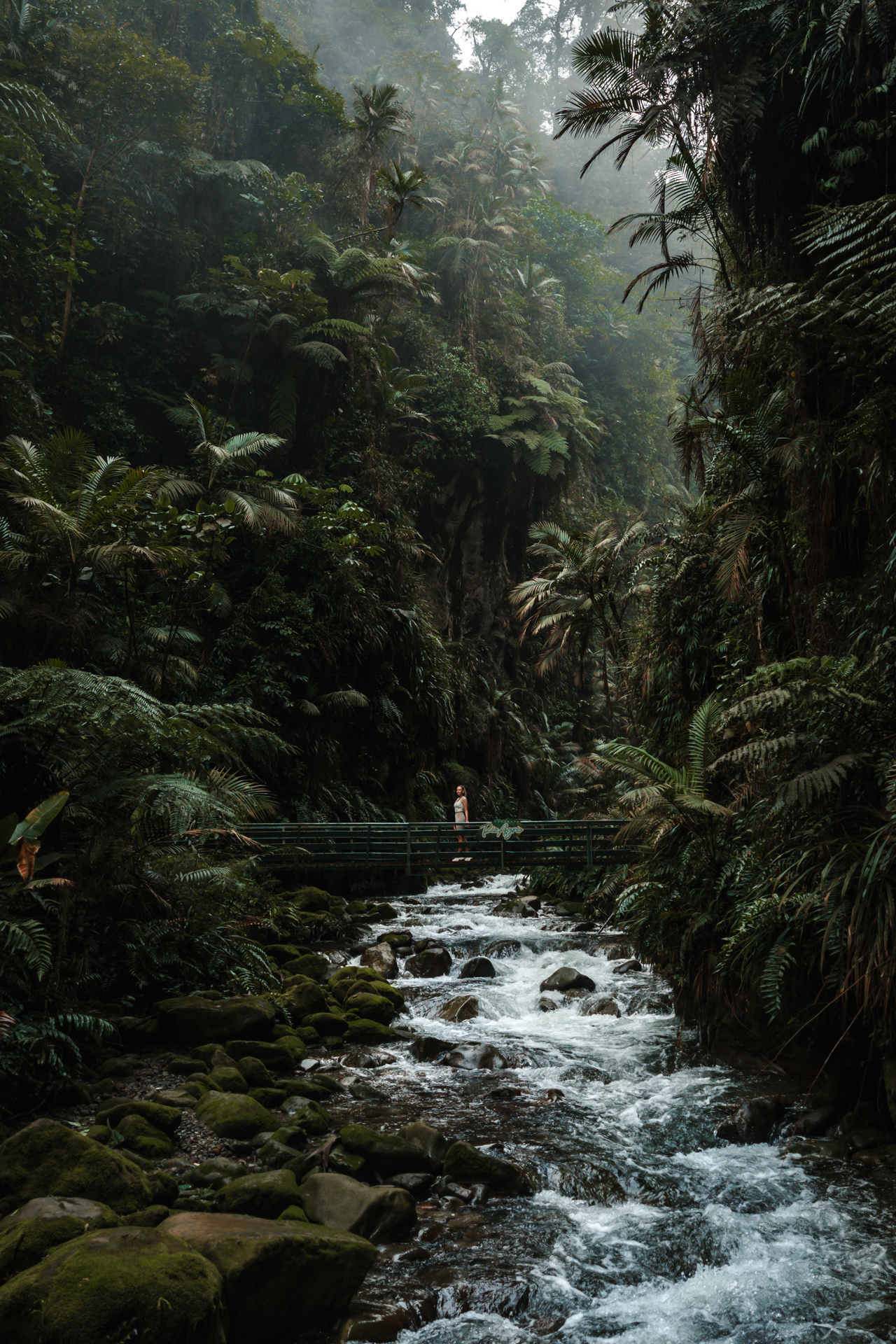 Costa Rica Travel Guide