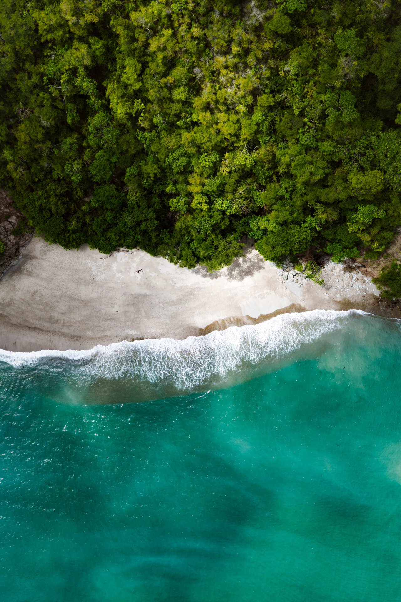 Drone view of Costa Rica coastline with lush rainforest meeting turquoise ocean