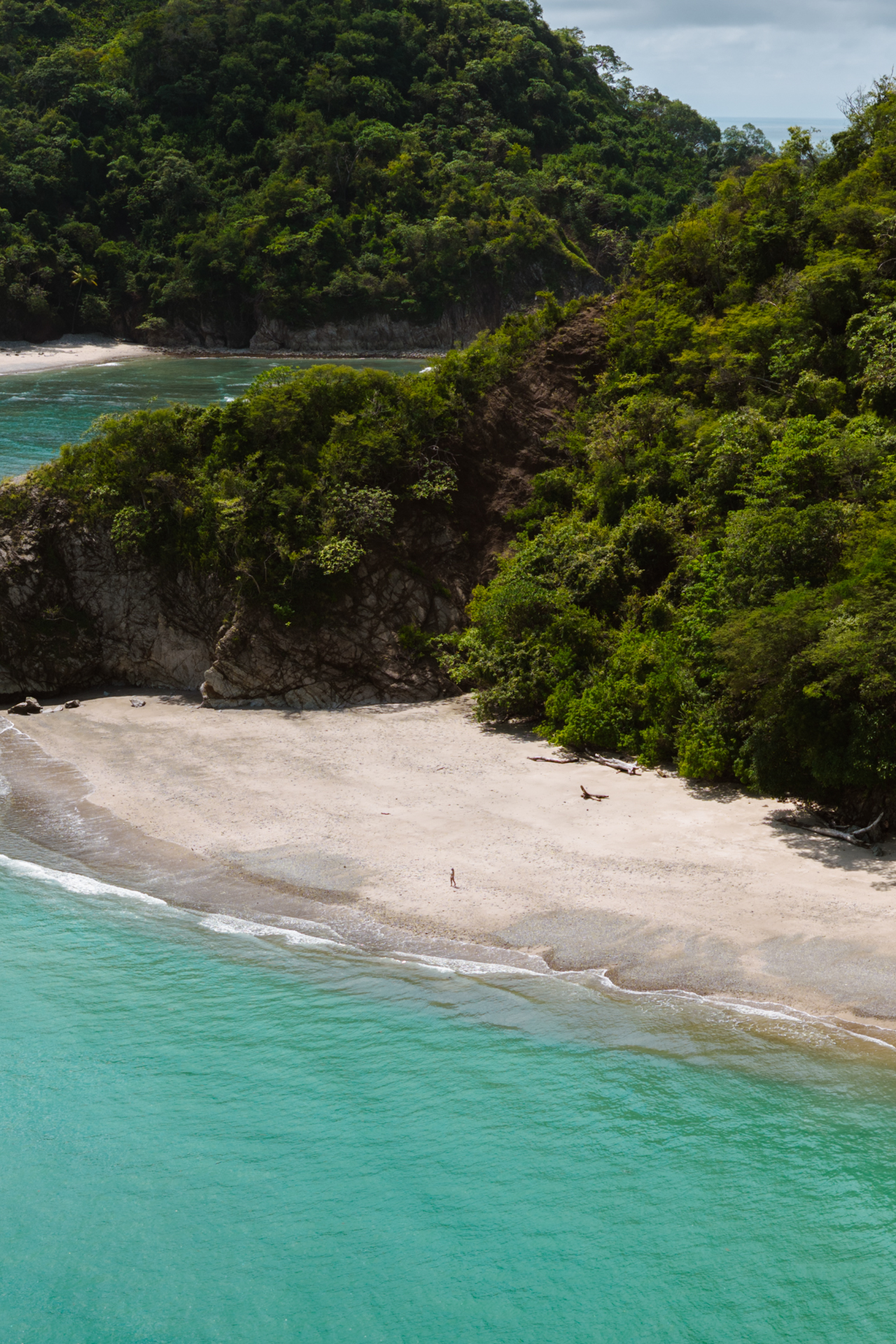 Tropical beach on Tortuga Island Costa Rica with clear water and dense green rainforest