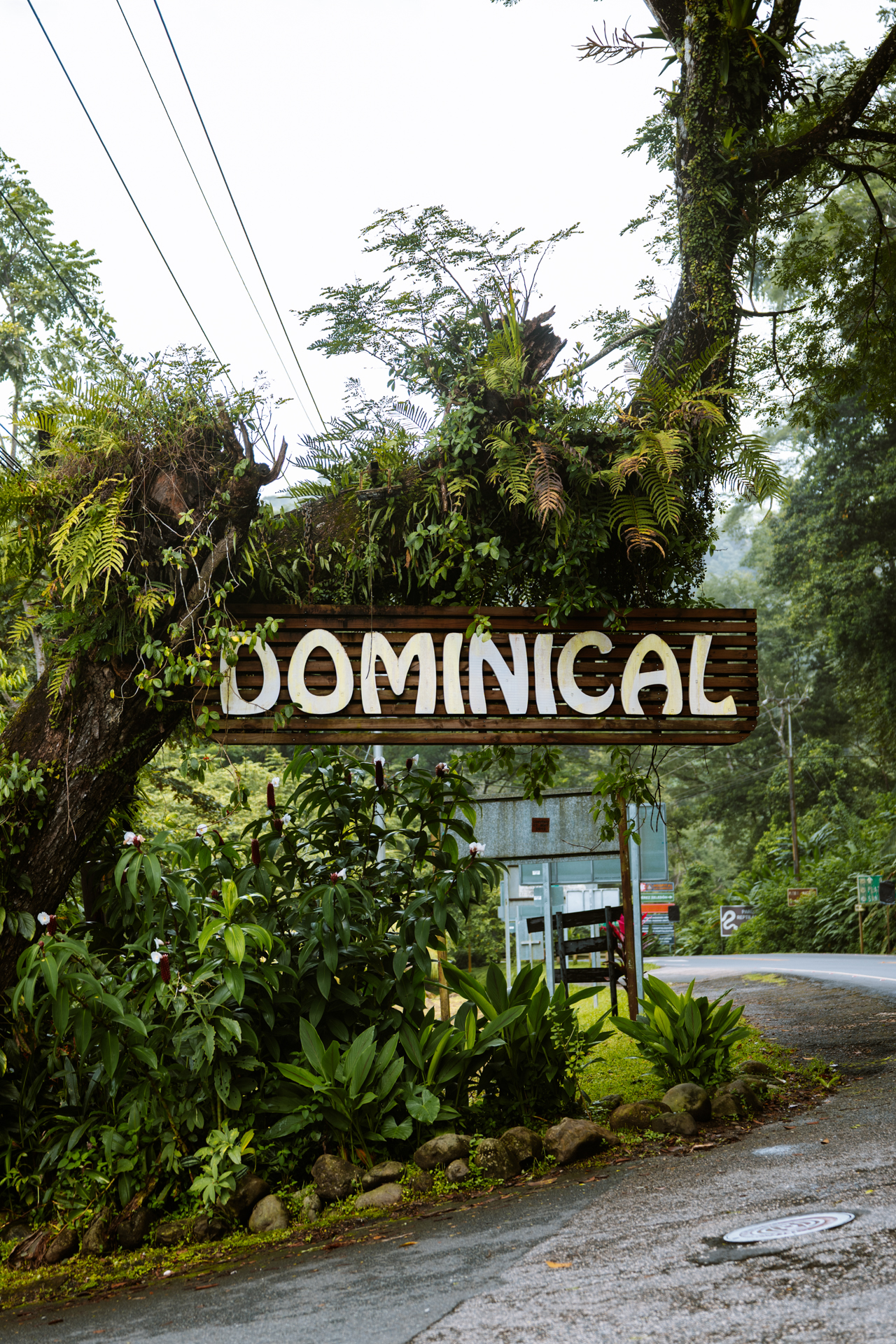 Dominical town sign on roadside surrounded by lush tropical jungle in Costa Rica.