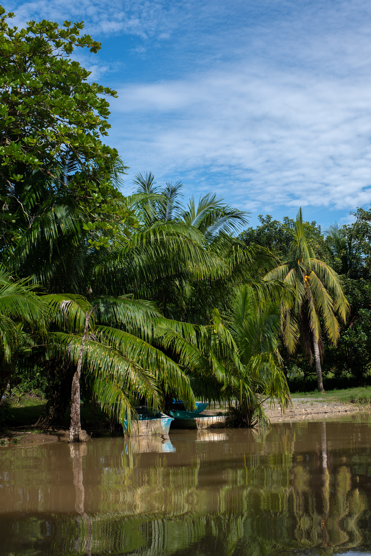 Sierpe Mangroves in Costa Rica