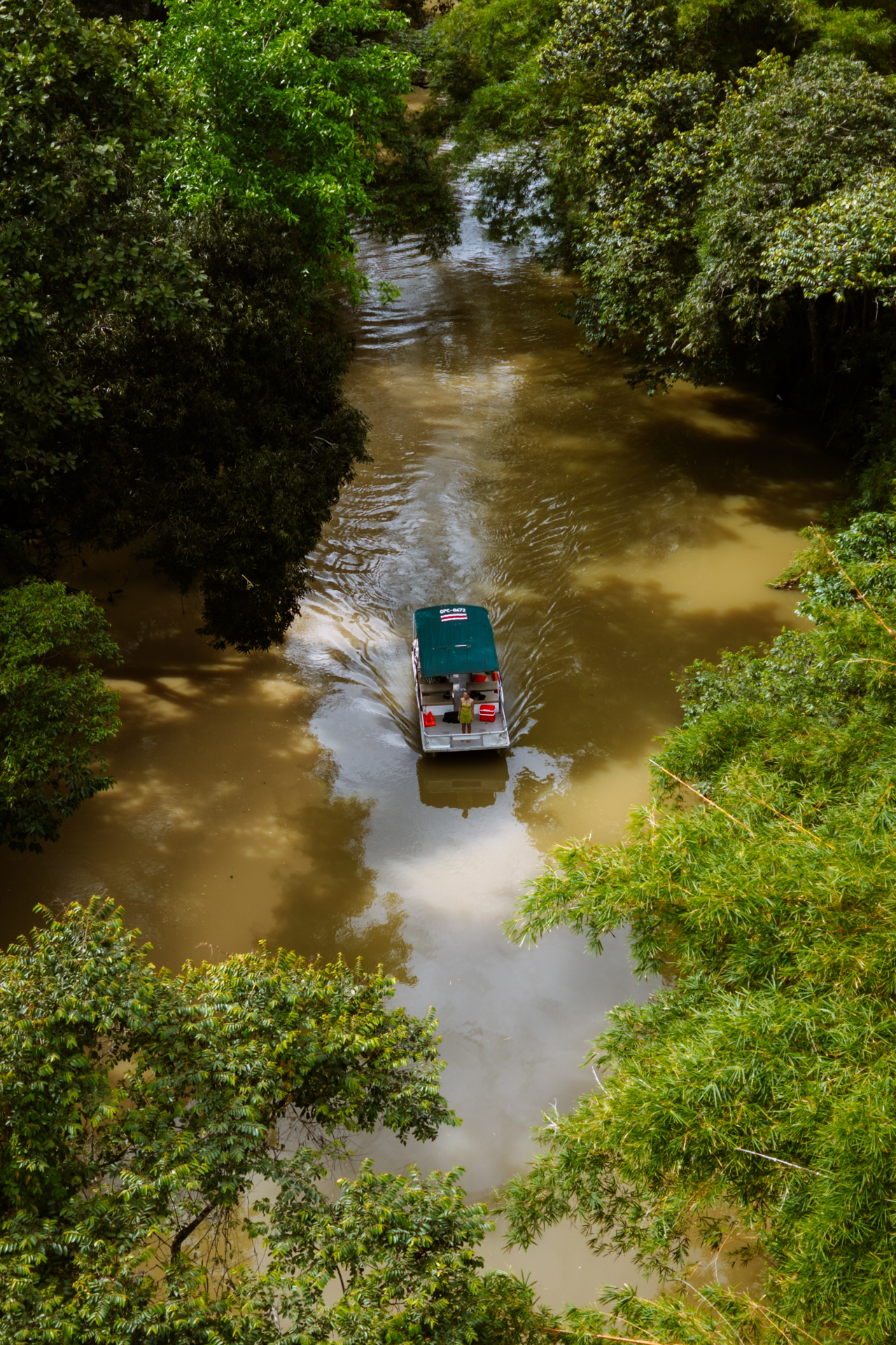 Sierpe Mangroves in Costa Rica near Uvita