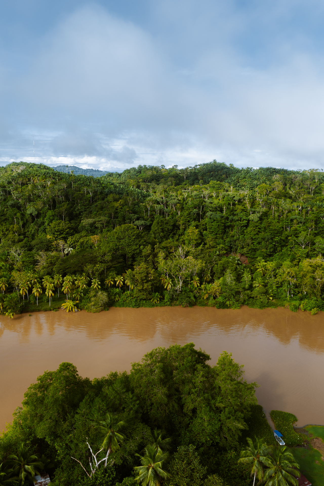 Sierpe mangrove tour in Costa Rica with river, lush rainforest and tropical landscape.