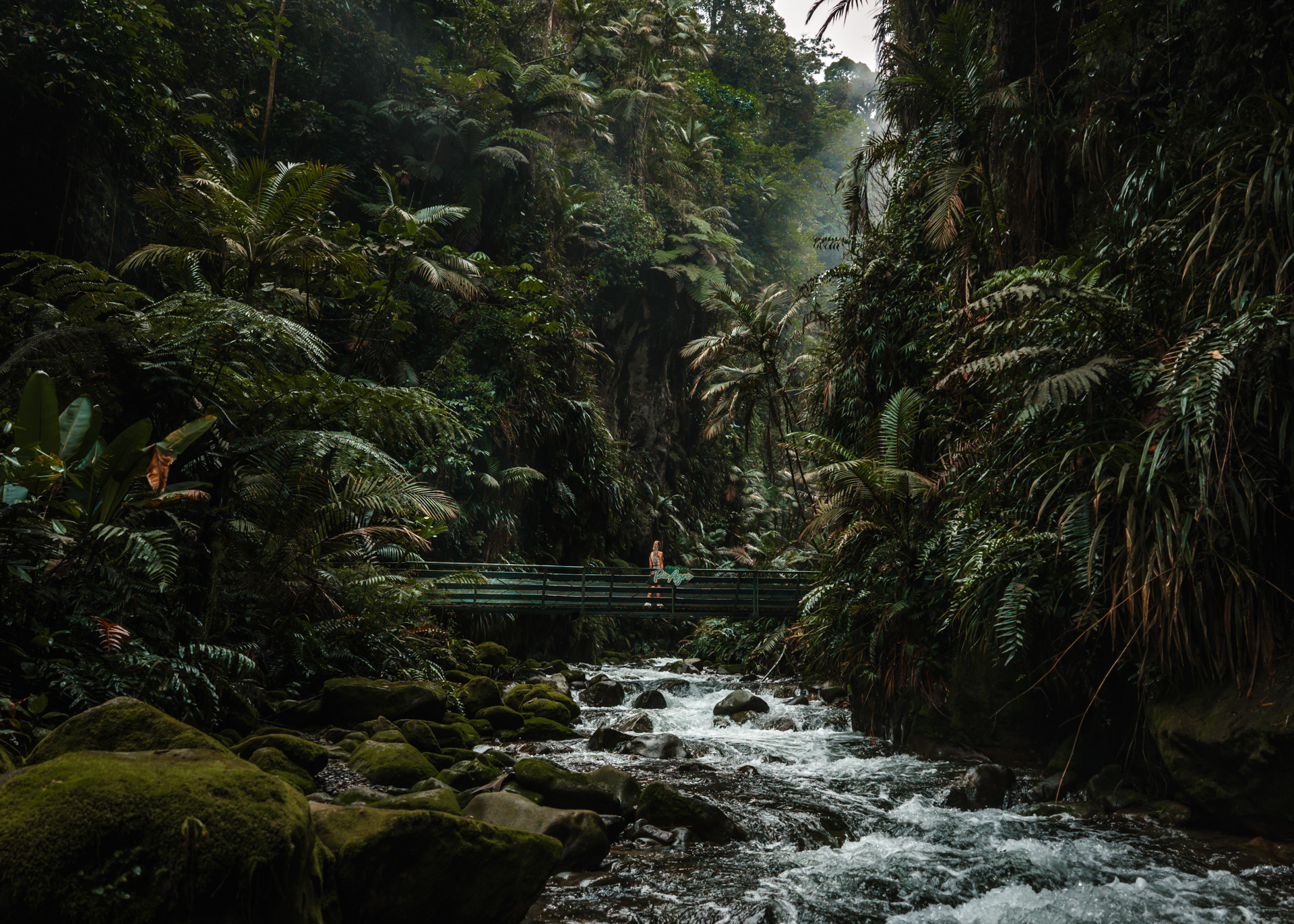 Rio Agrio Waterfall at Bajos del Toro, Costa Rica