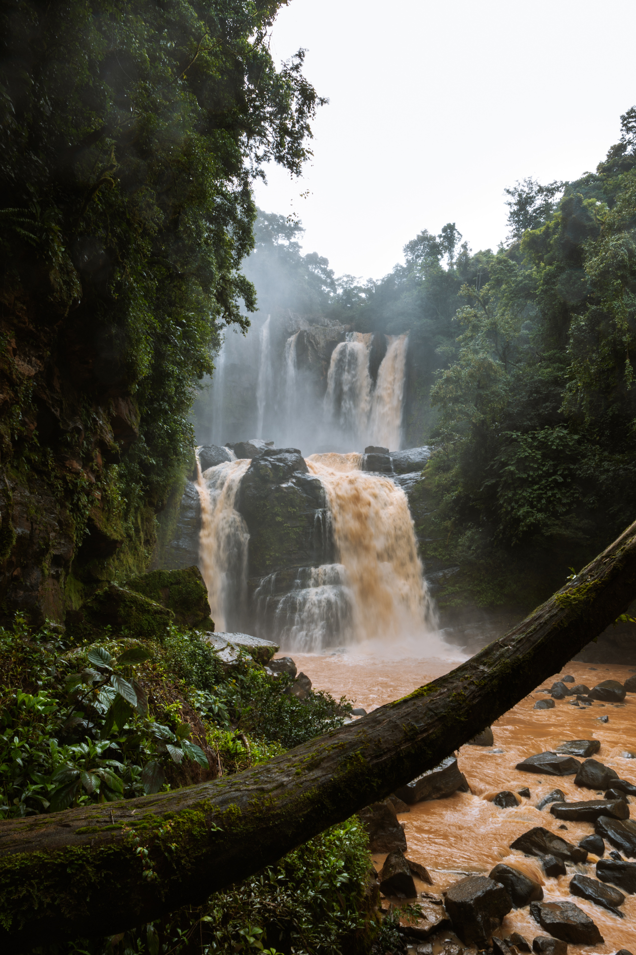 Nauyaca waterfall in Costa Rica