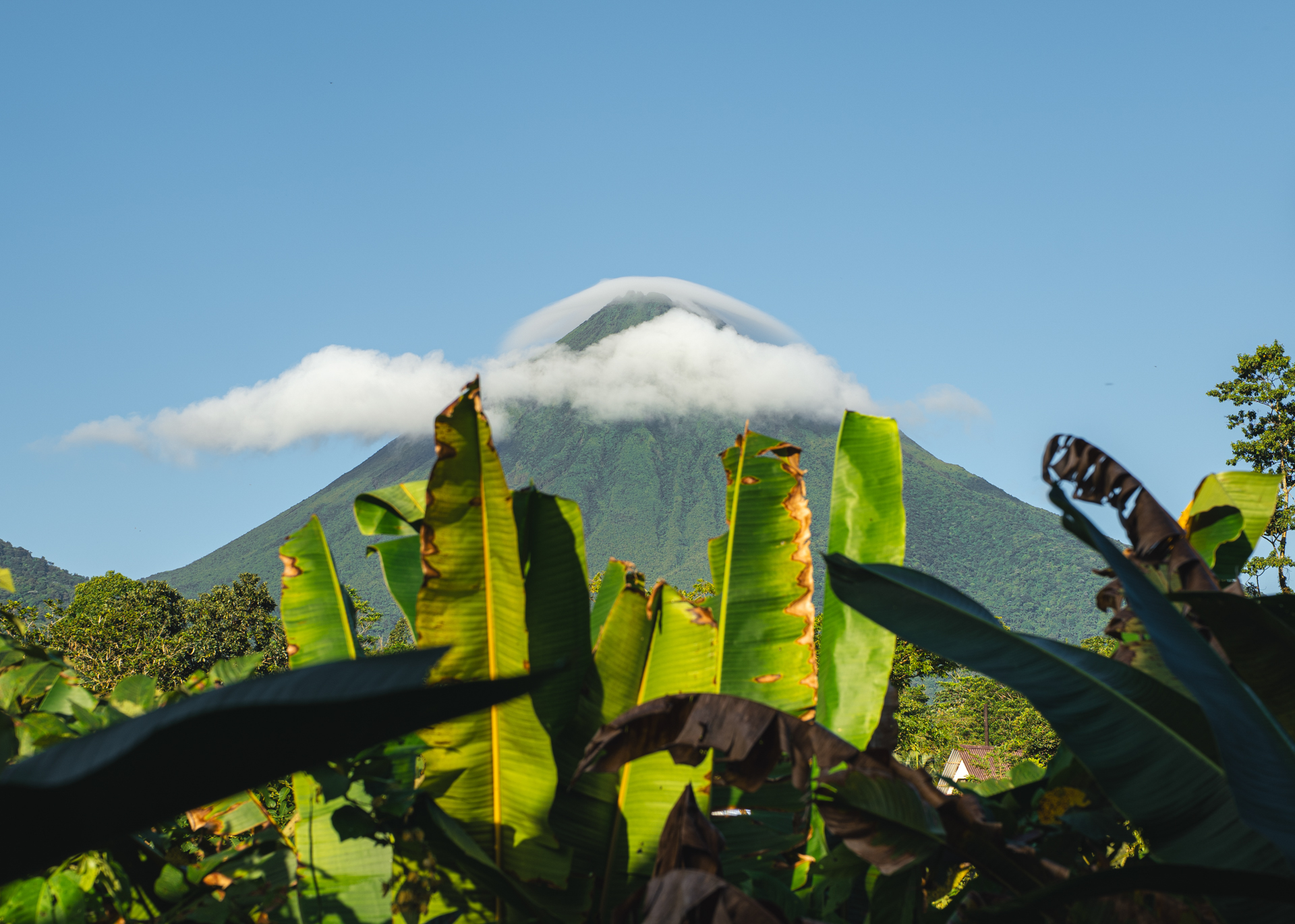Arenal Volcano with clouds around its peak, seen through banana leaves in La Fortuna, Costa Rica