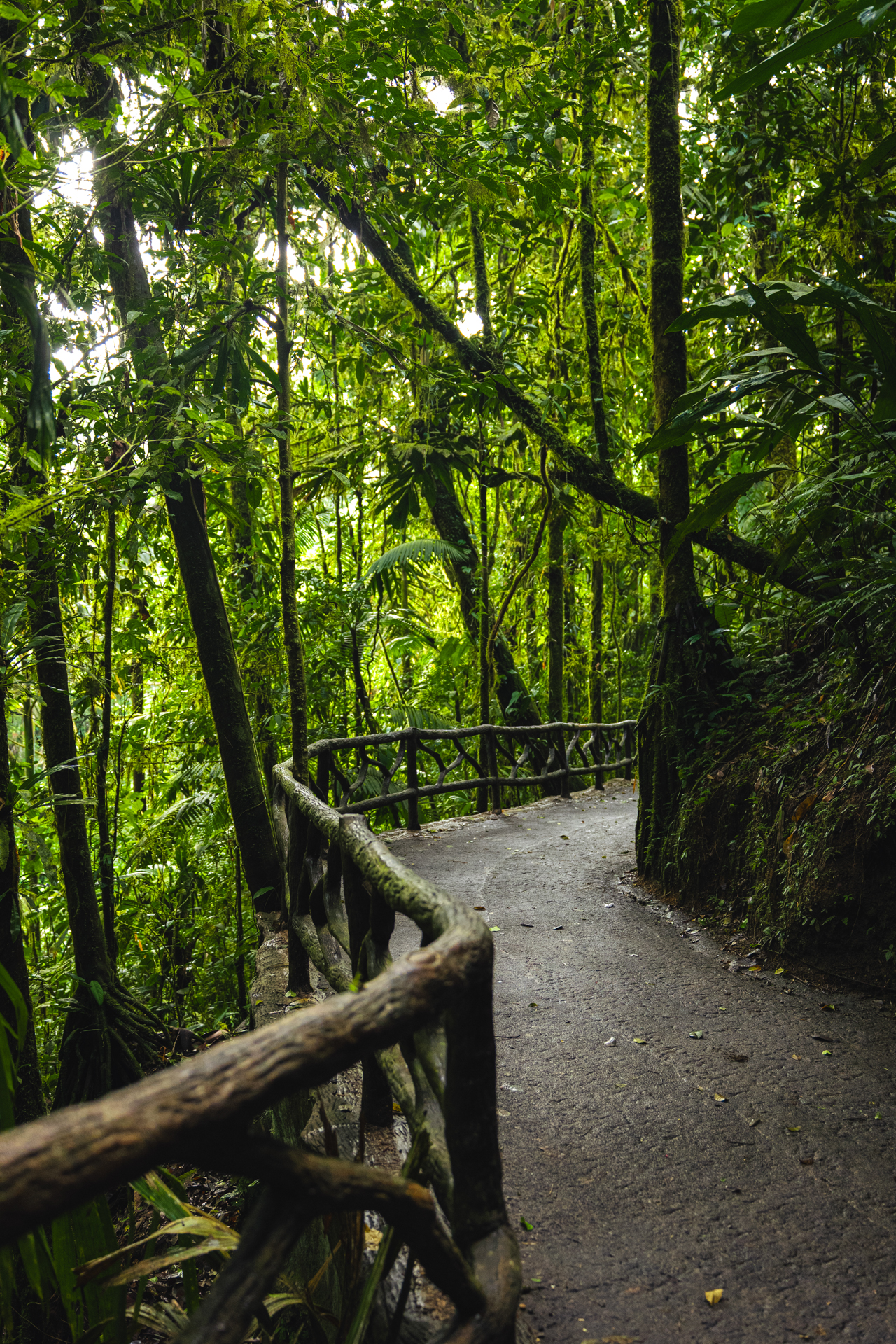 La Fortuna Mistico Hanging Bridges Park