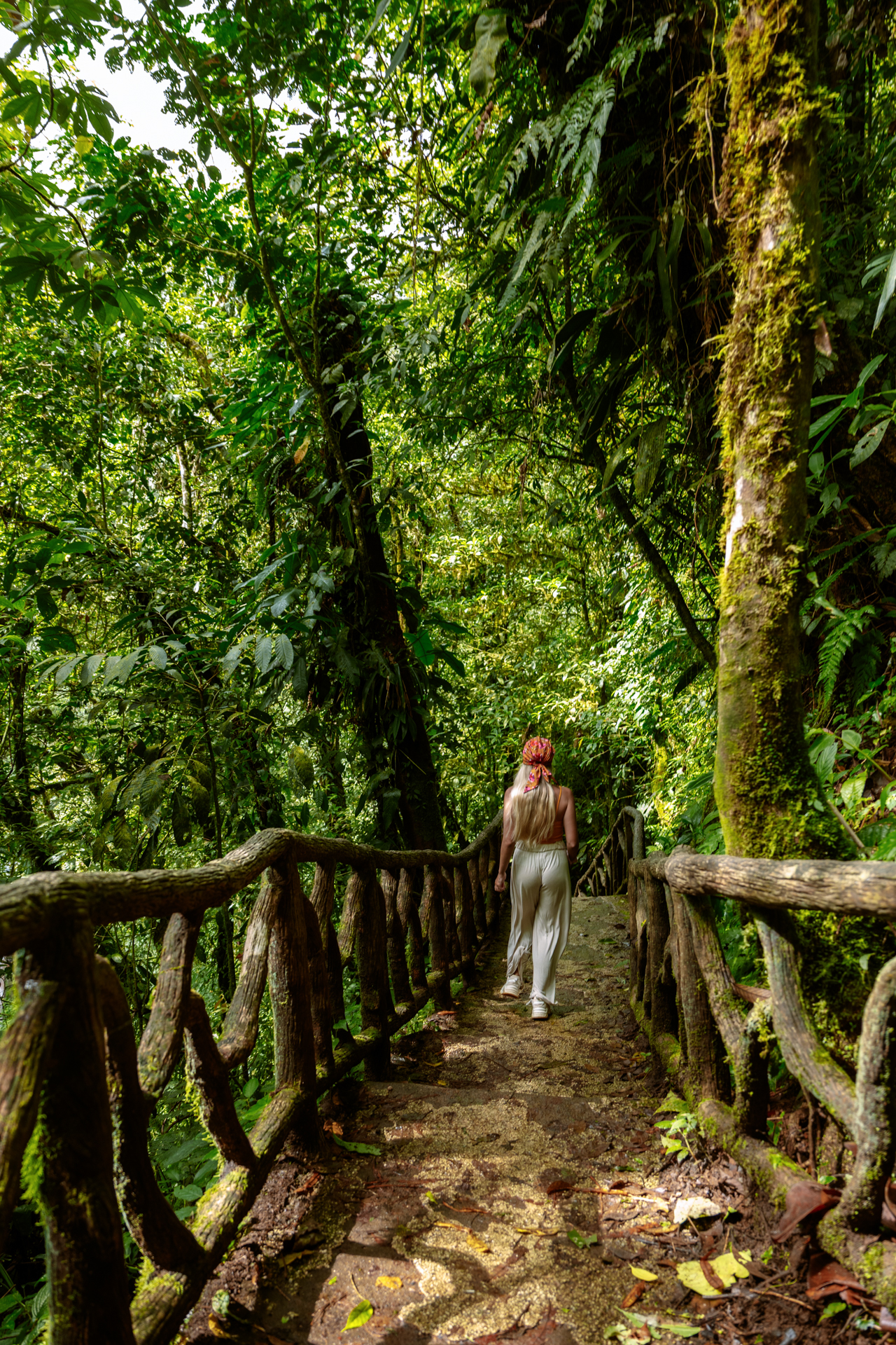 Woman walking along a rainforest trail in Tenorio Volcano National Park near Río Celeste, Costa Rica