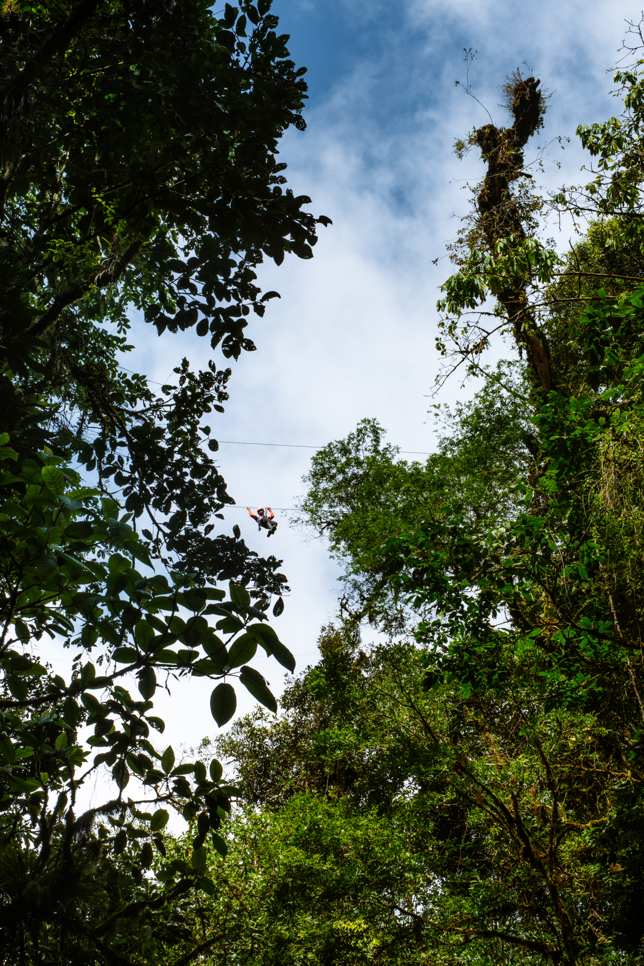 Ziplining Through the Jungle in La Fortuna, Costa Rica