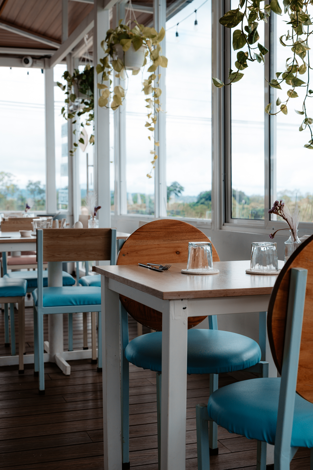 Bright café interior with wooden tables and plants in La Fortuna, Costa Rica, D'Balu