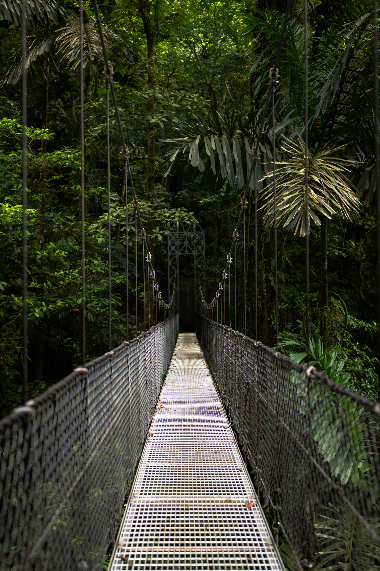 Mistico Hanging Bridge in La Fortuna, Costa Rica