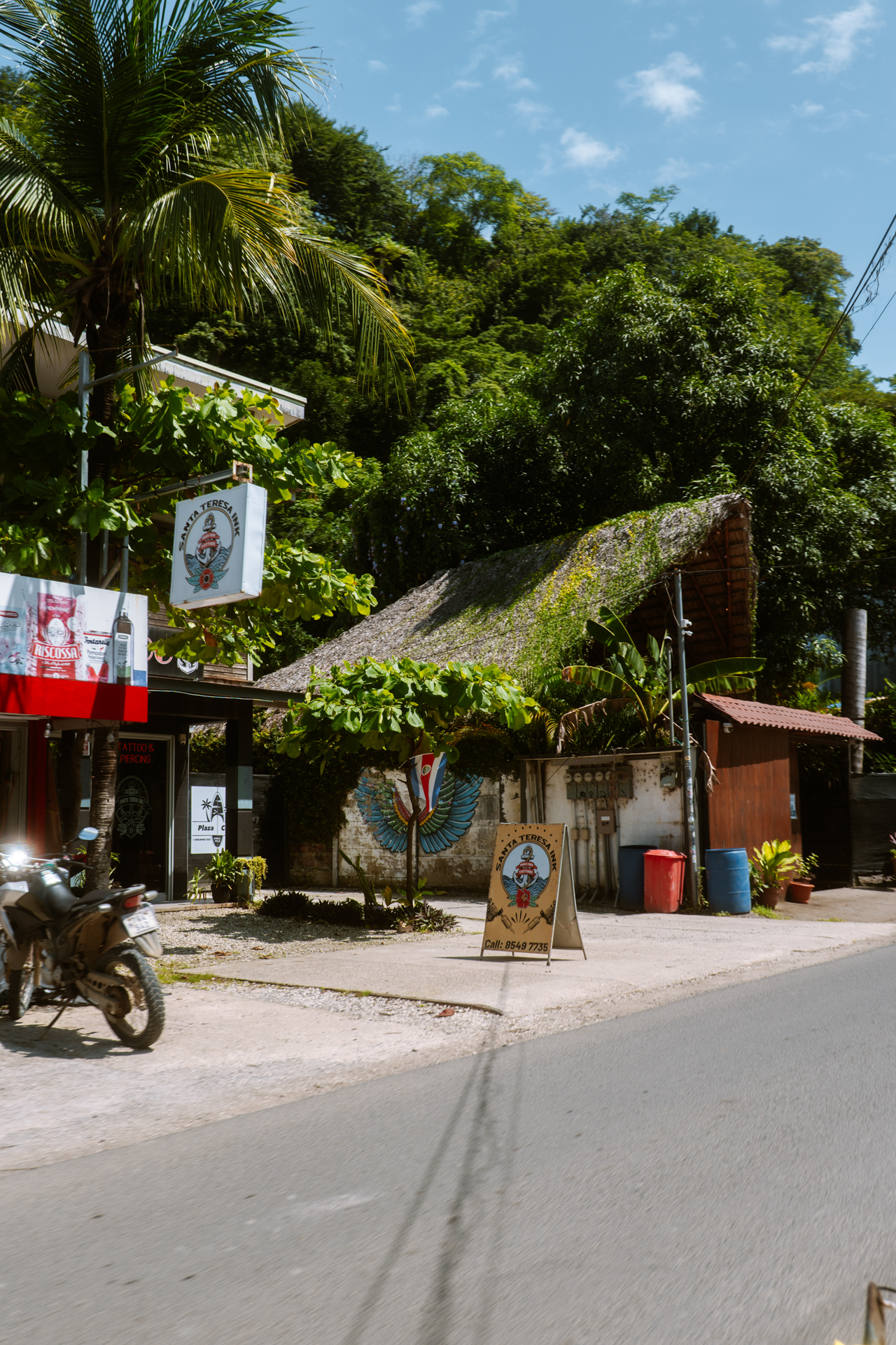 Tropical street scene in Santa Teresa, Costa Rica with lush jungle, palm trees, and local shop signage